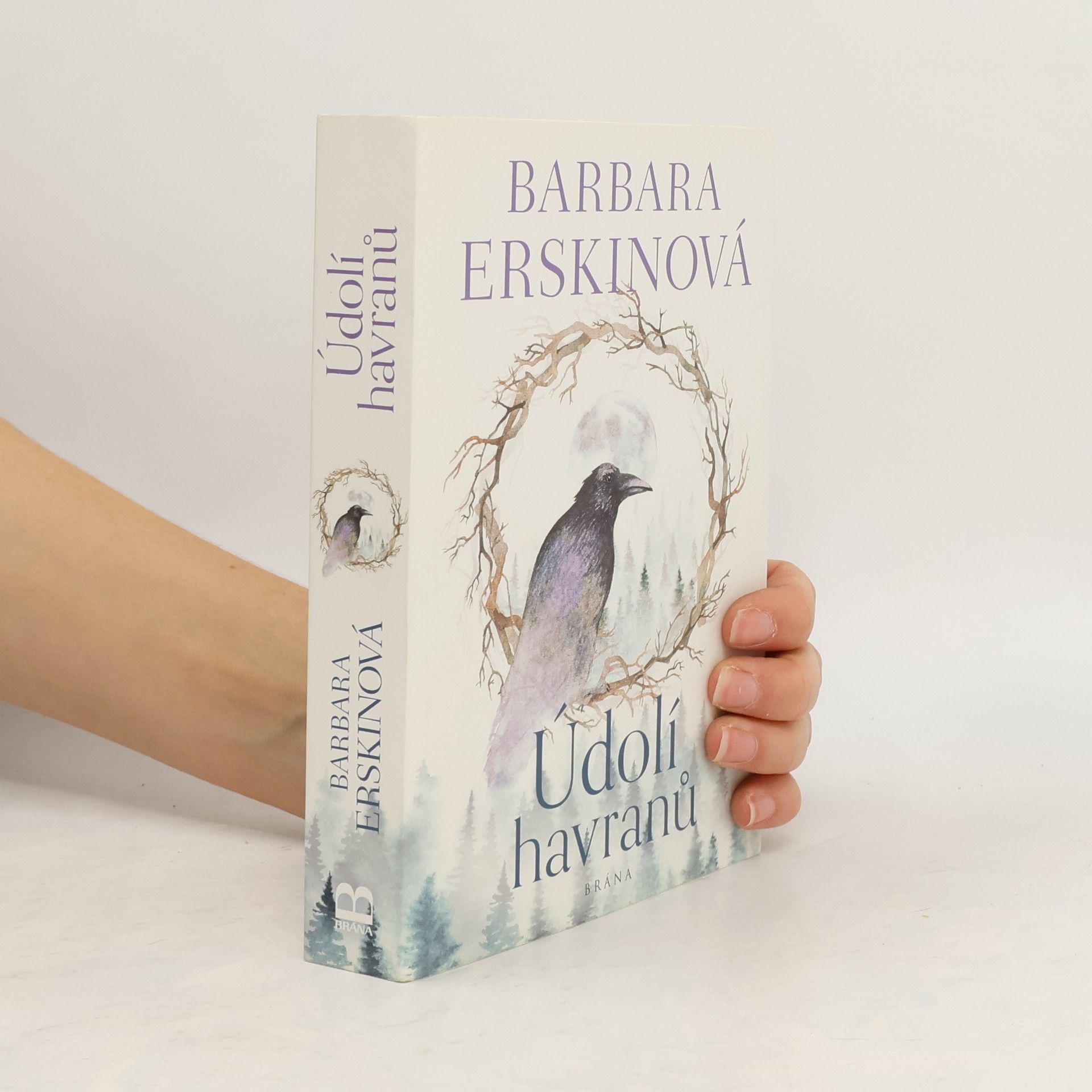 Barbara Erskinová Údolí havranů