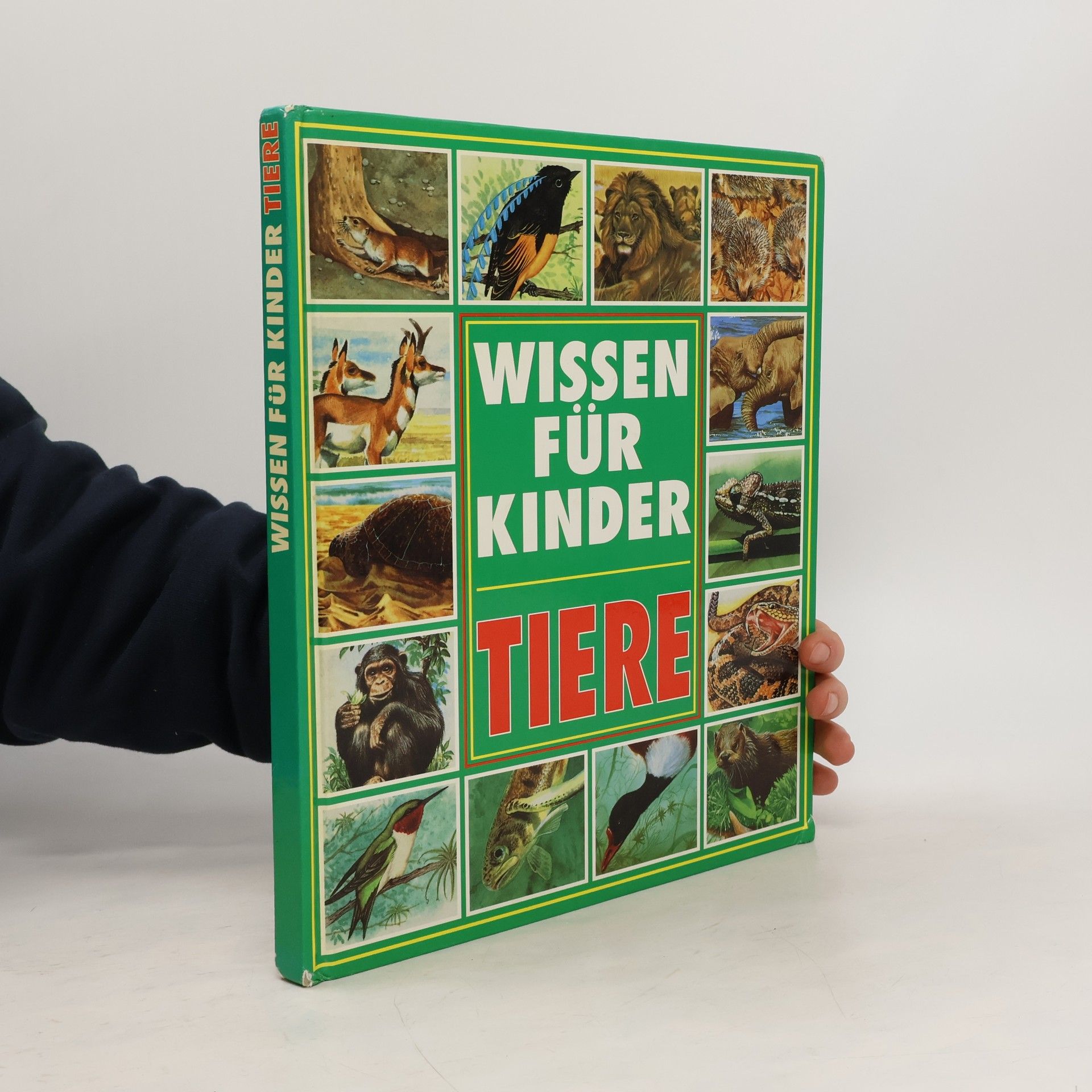 Tiere. Wissen für Kinder