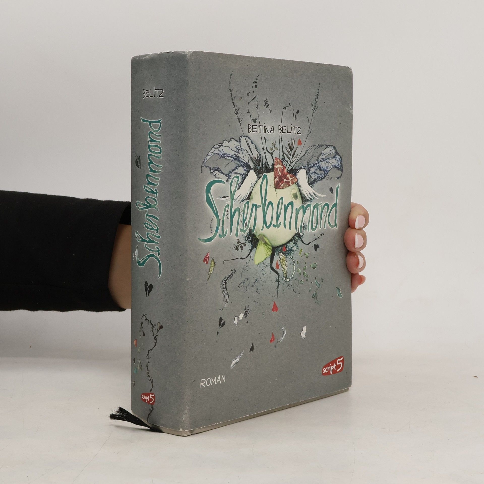 Bettina Belitz Scherbenmond