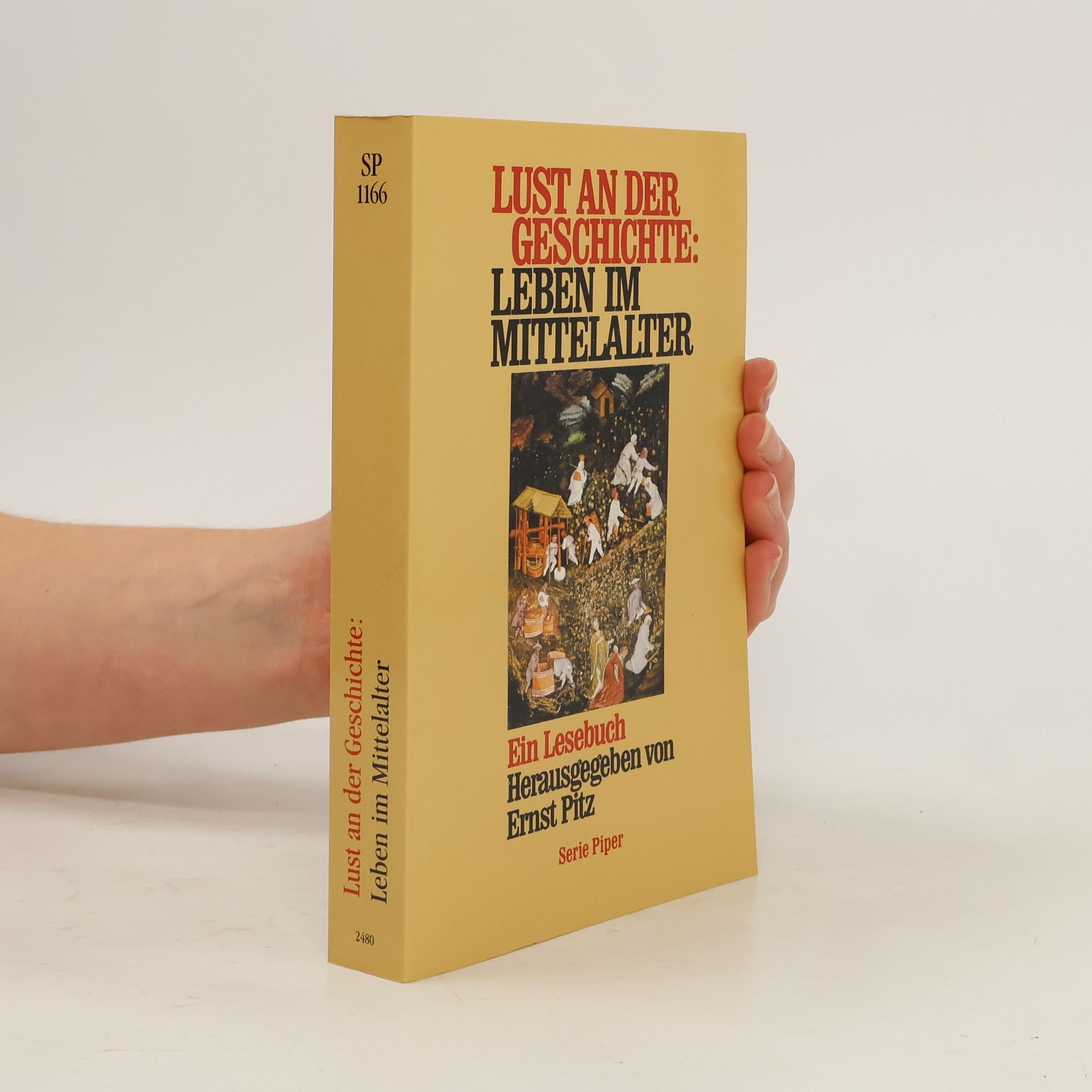 Ernst Pitz Lust an der Geschichte: Leben im Mittelalter