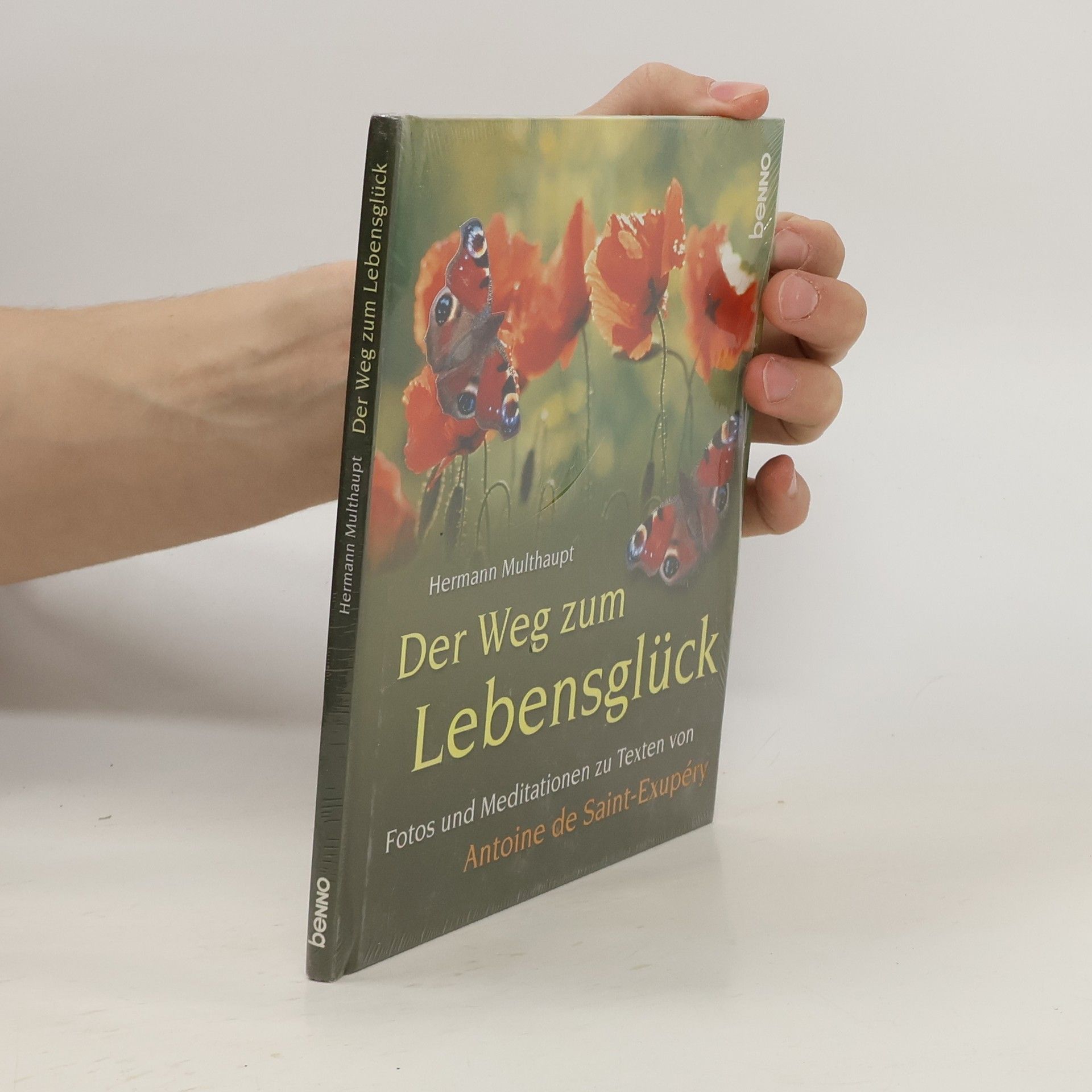 Hermann Multhaupt Der Weg zum Lebensglück