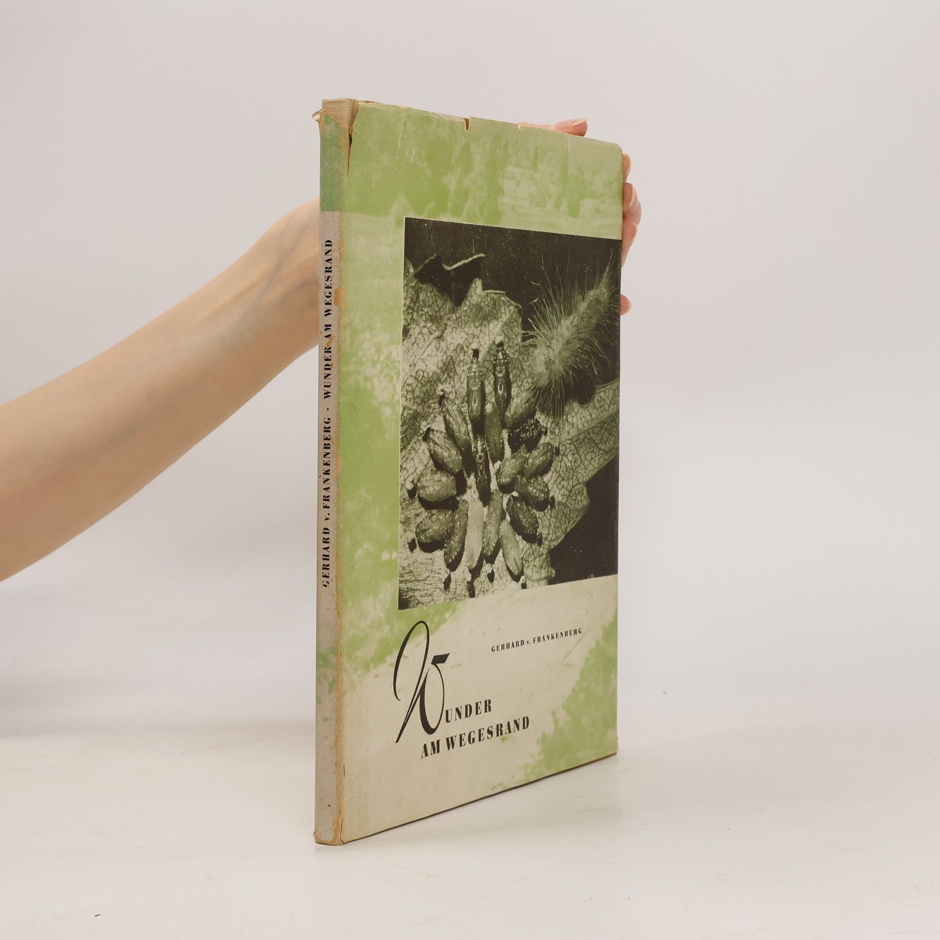 Gerhard von Frankenberg Wunder am Wegesrand