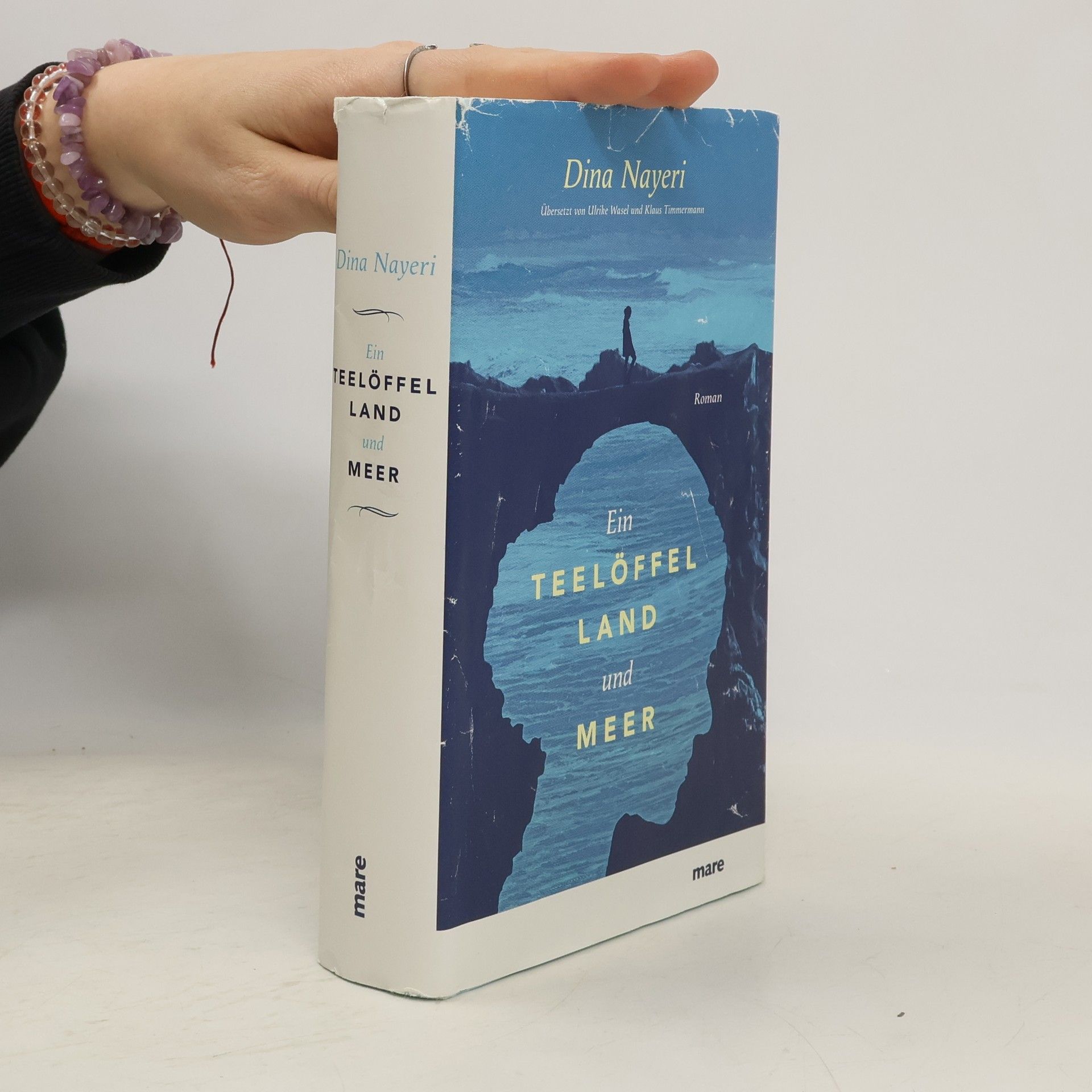 Dina Nayeri Ein Teelöffel Land und Meer