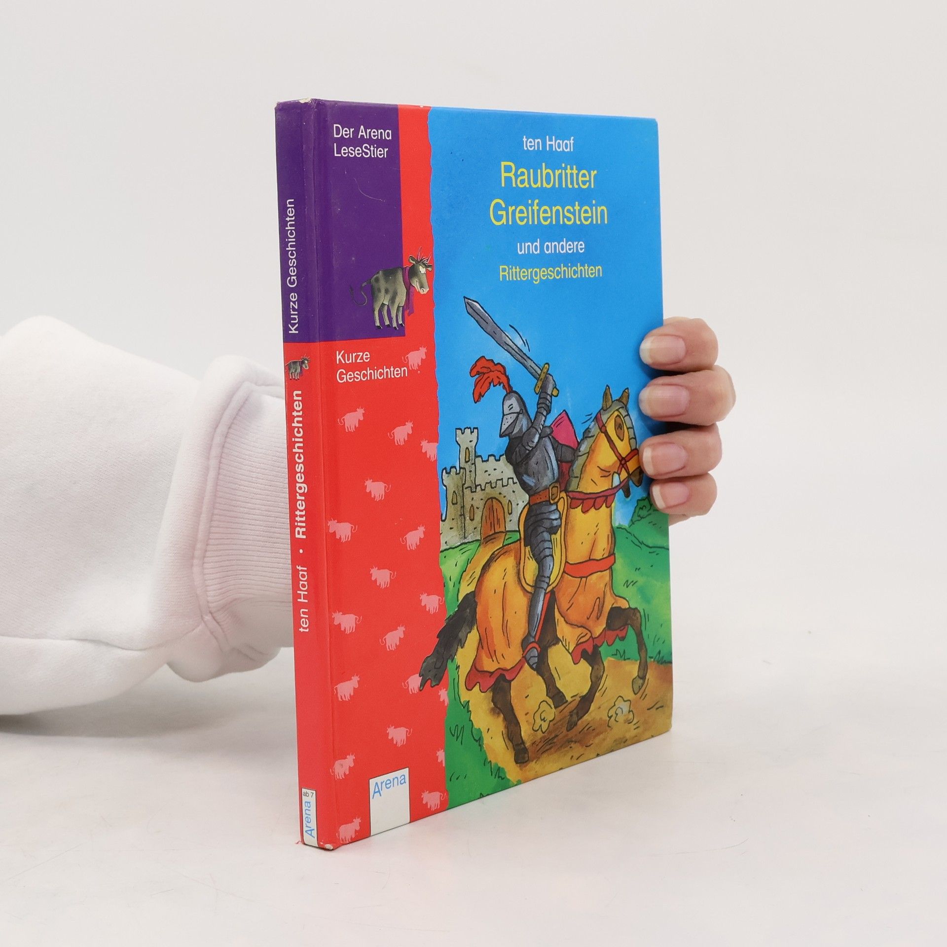 Wilhelm Ten Haaf Raubritter Greifenstein und andere Rittergeschichten