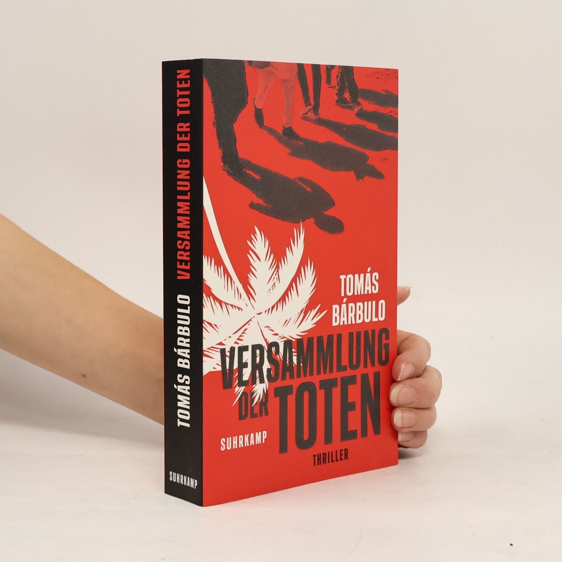 Tomás Bárbulo Versammlung der Toten