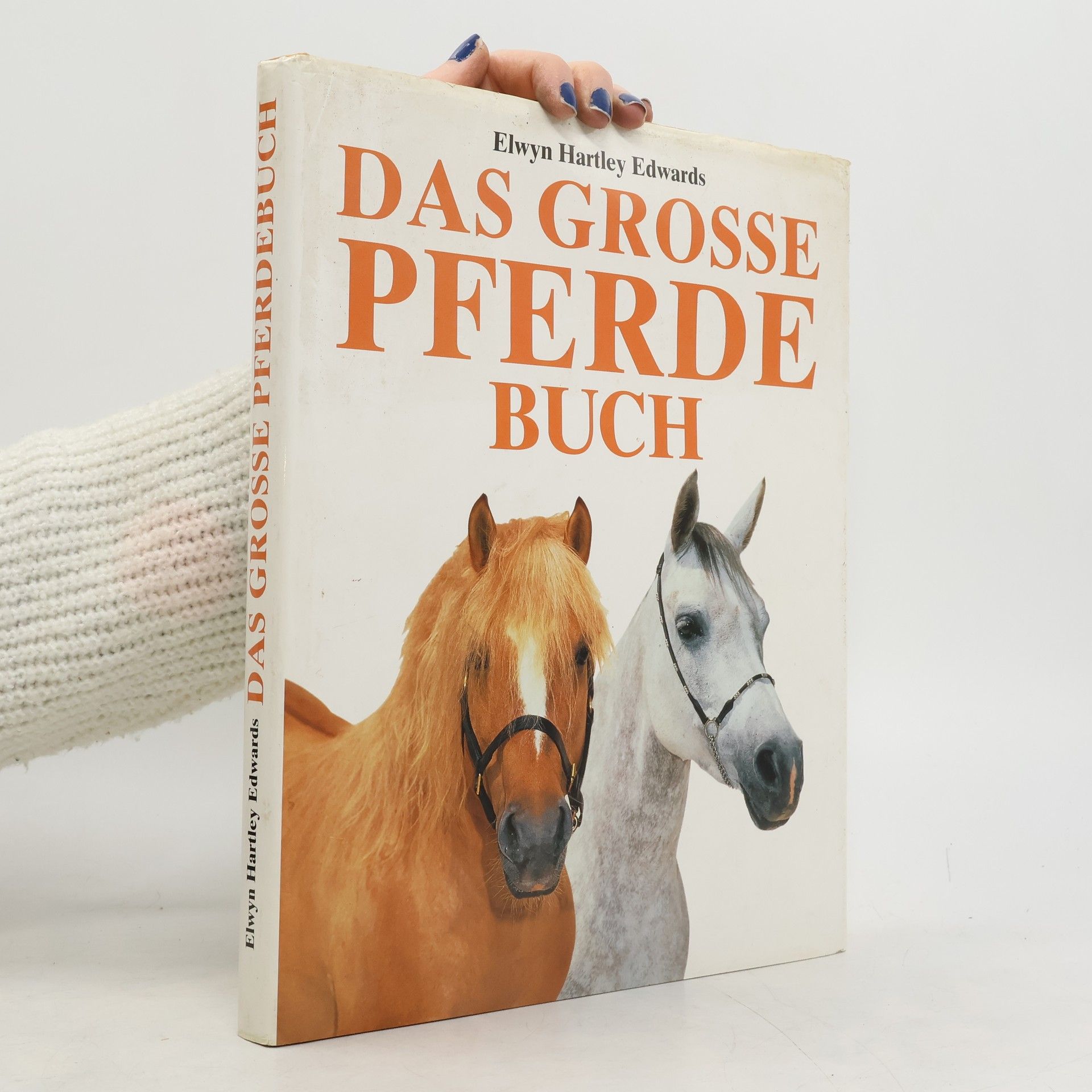 Das Grosse Pferde Buch
