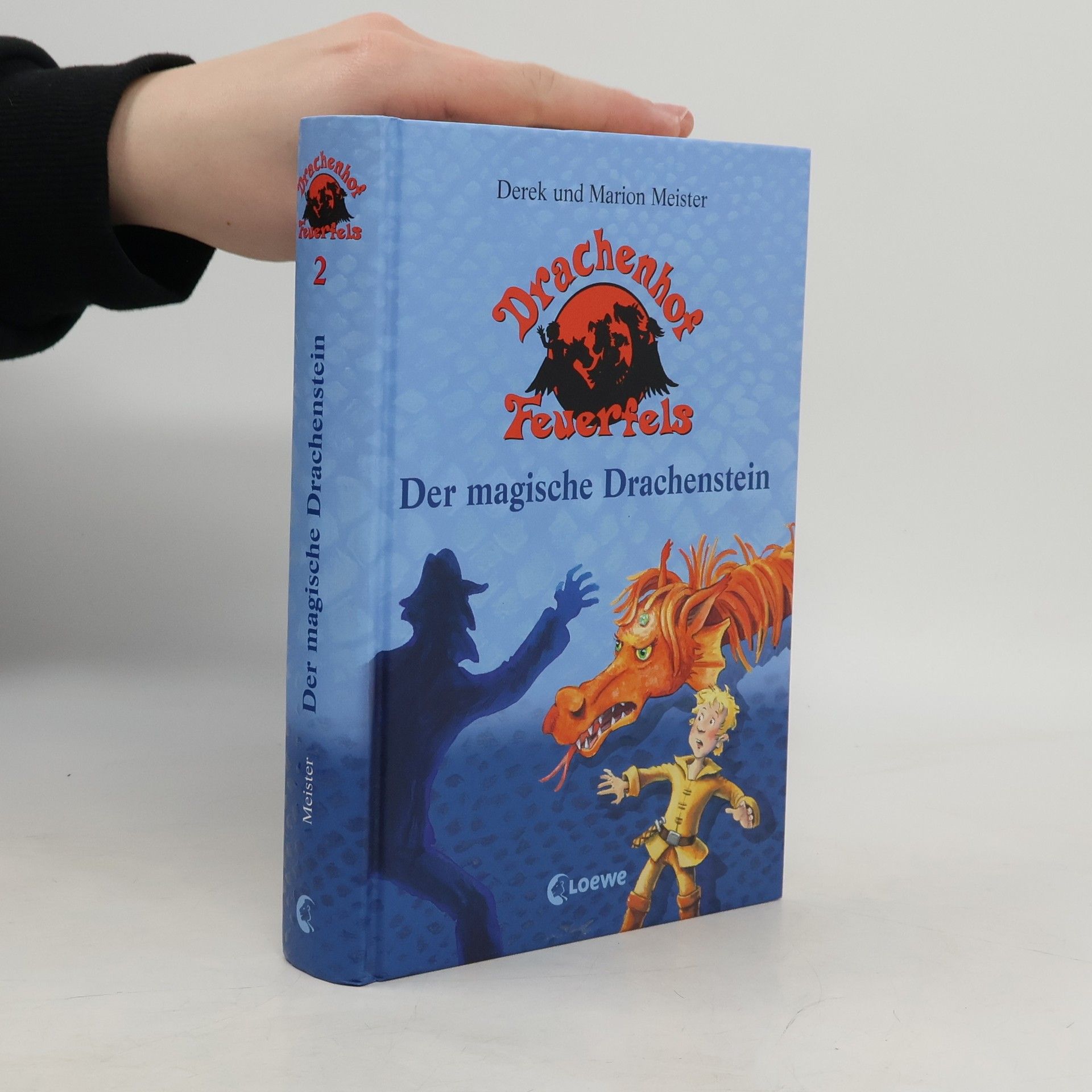 Derek Meister Der magische Drachenstein