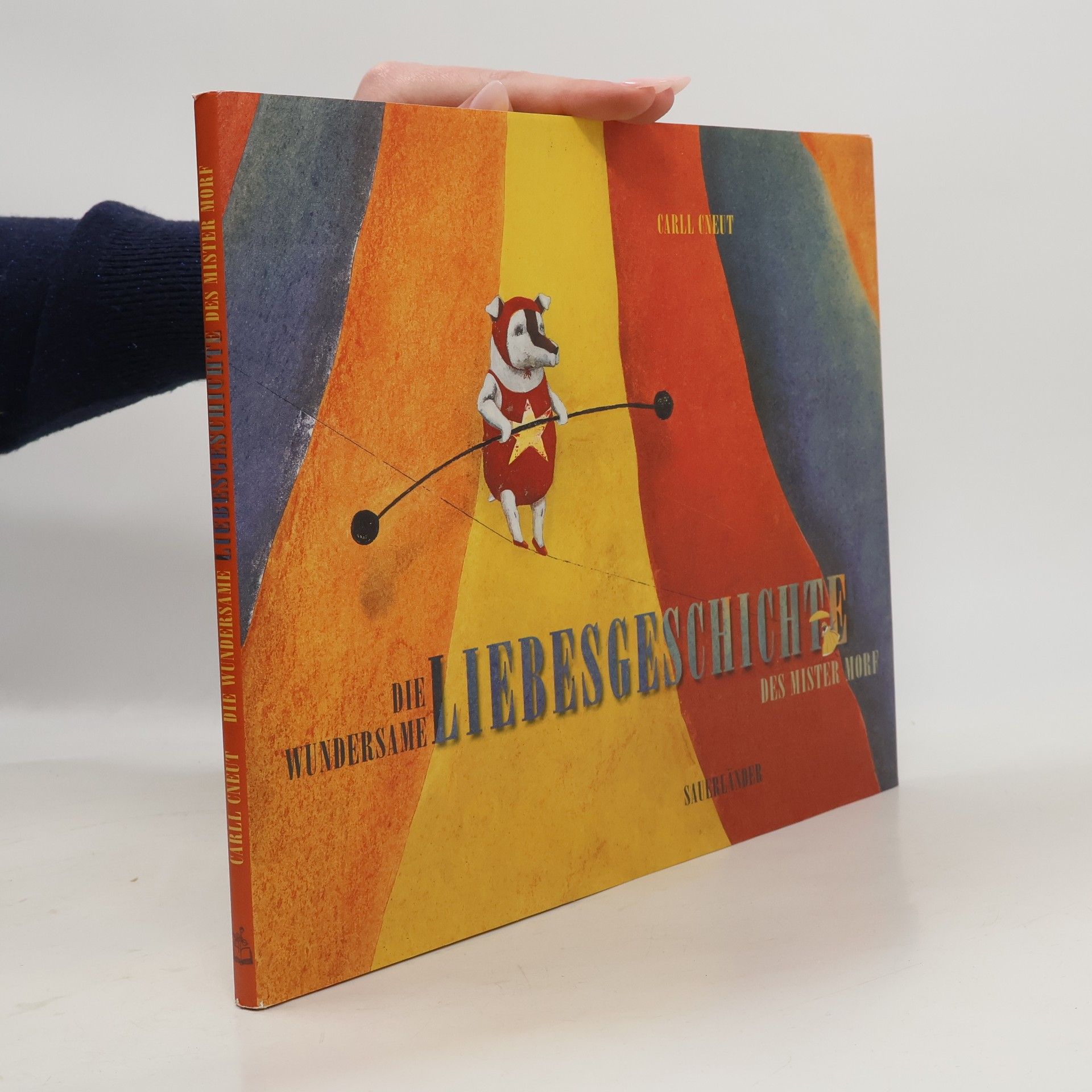 Carll Cneut Die wundersame Liebesgeschichte des Mister Morf