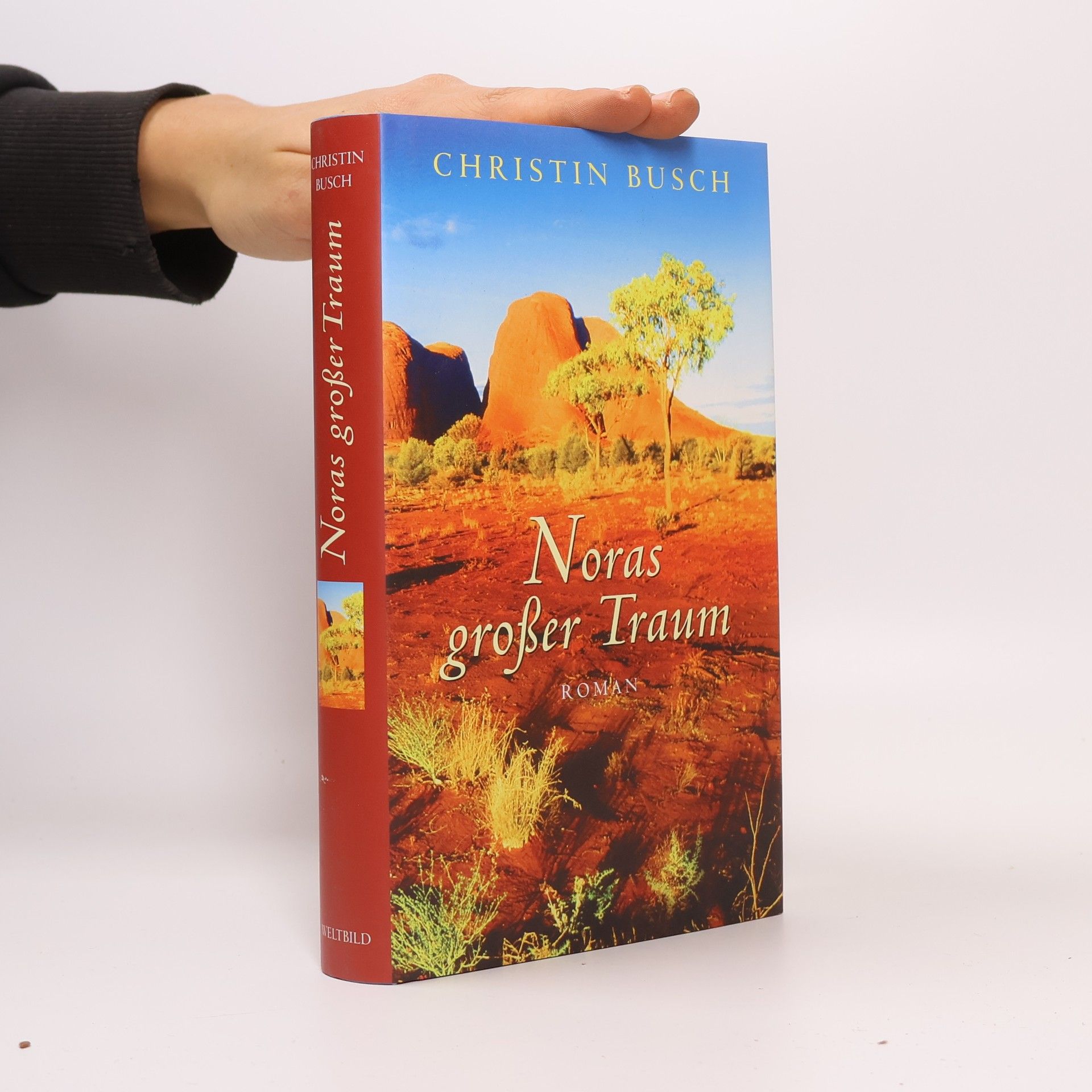 Christin Busch Noras großer Traum