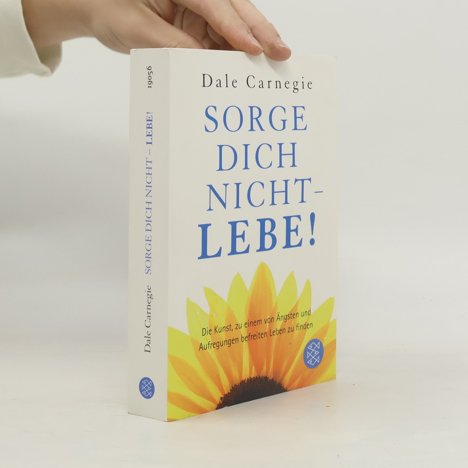 Dale Carnegie Sorge dich nicht - lebe!