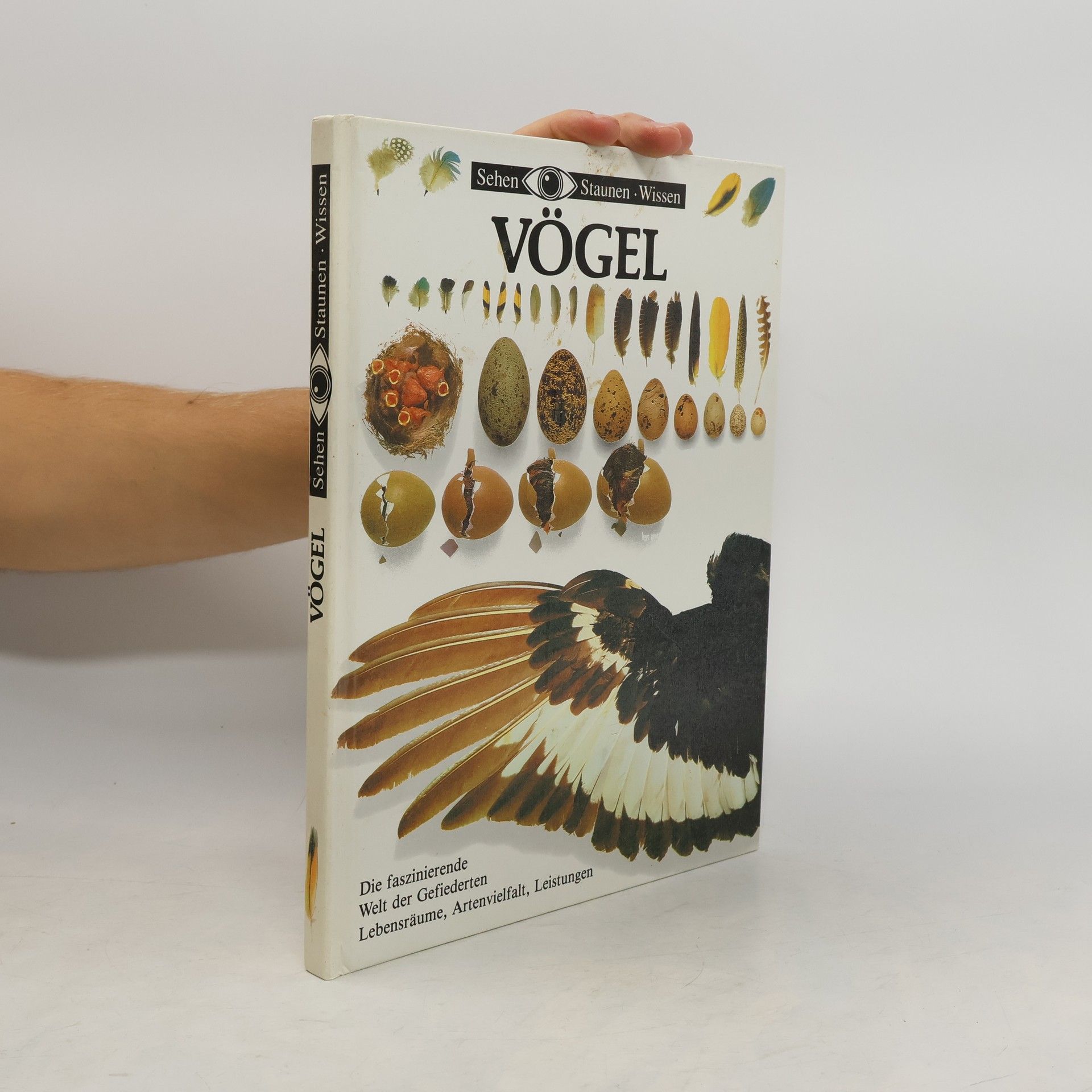 Autorenkollektiv Vögel