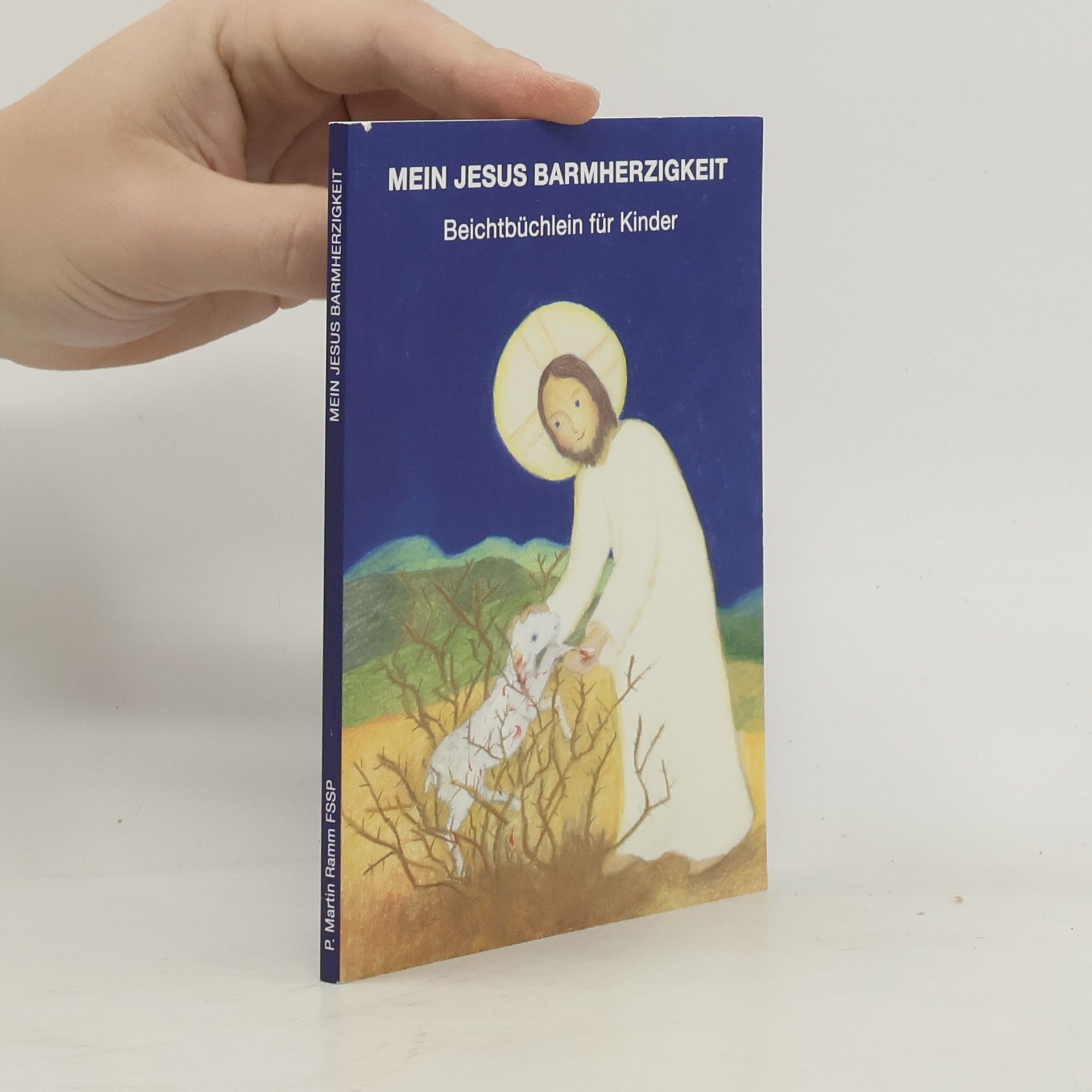 Martin Ramm Mein Jesus Barmherzigkeit
