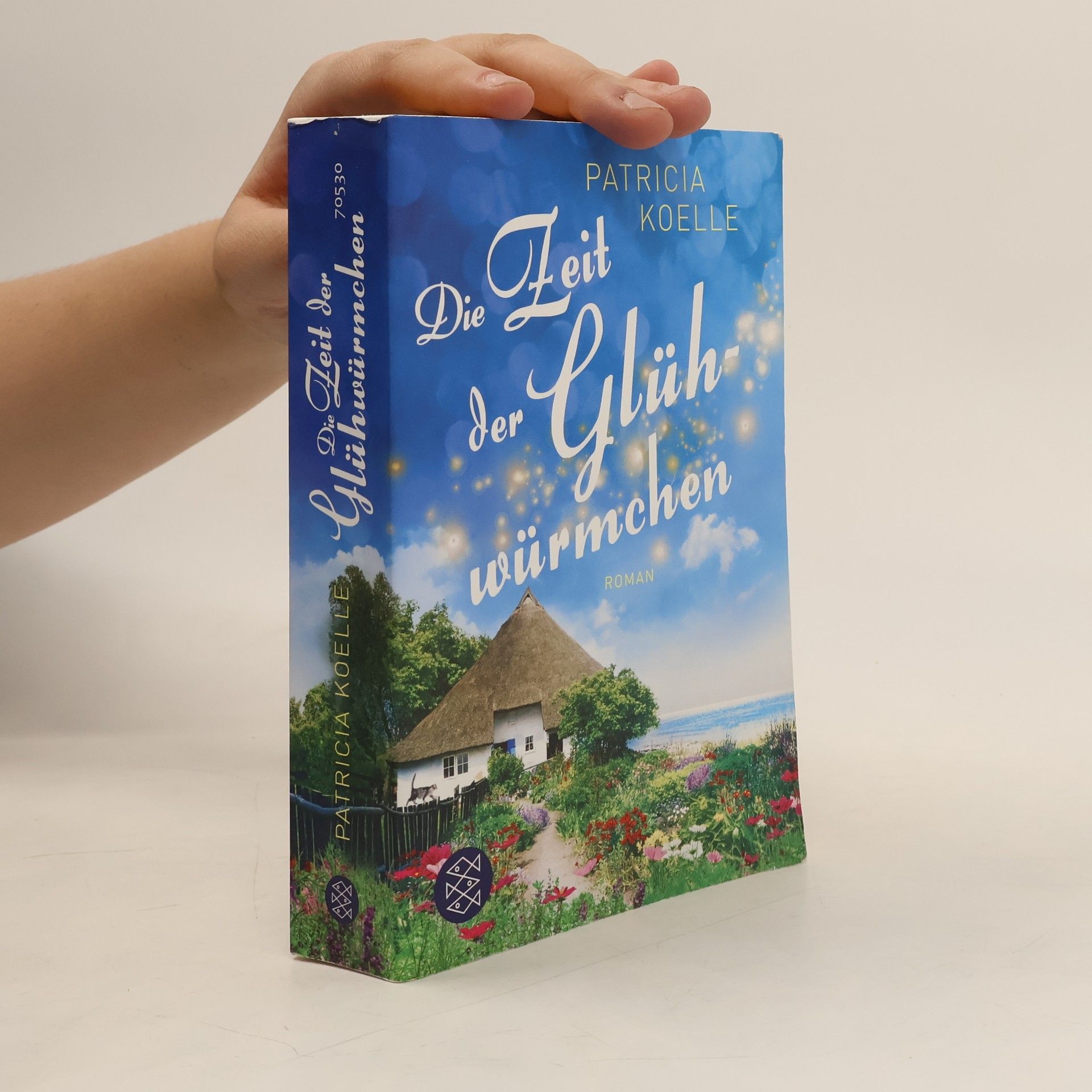 Patricia Koelle Die Zeit der Glühwürmchen