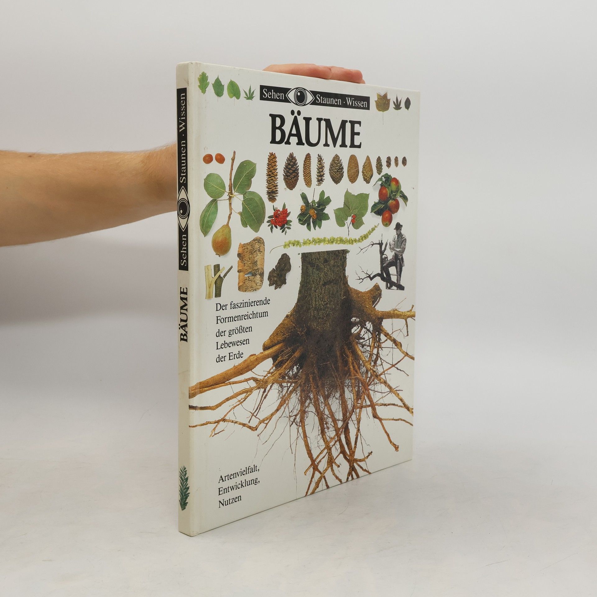 Auteurscollectief Bäume