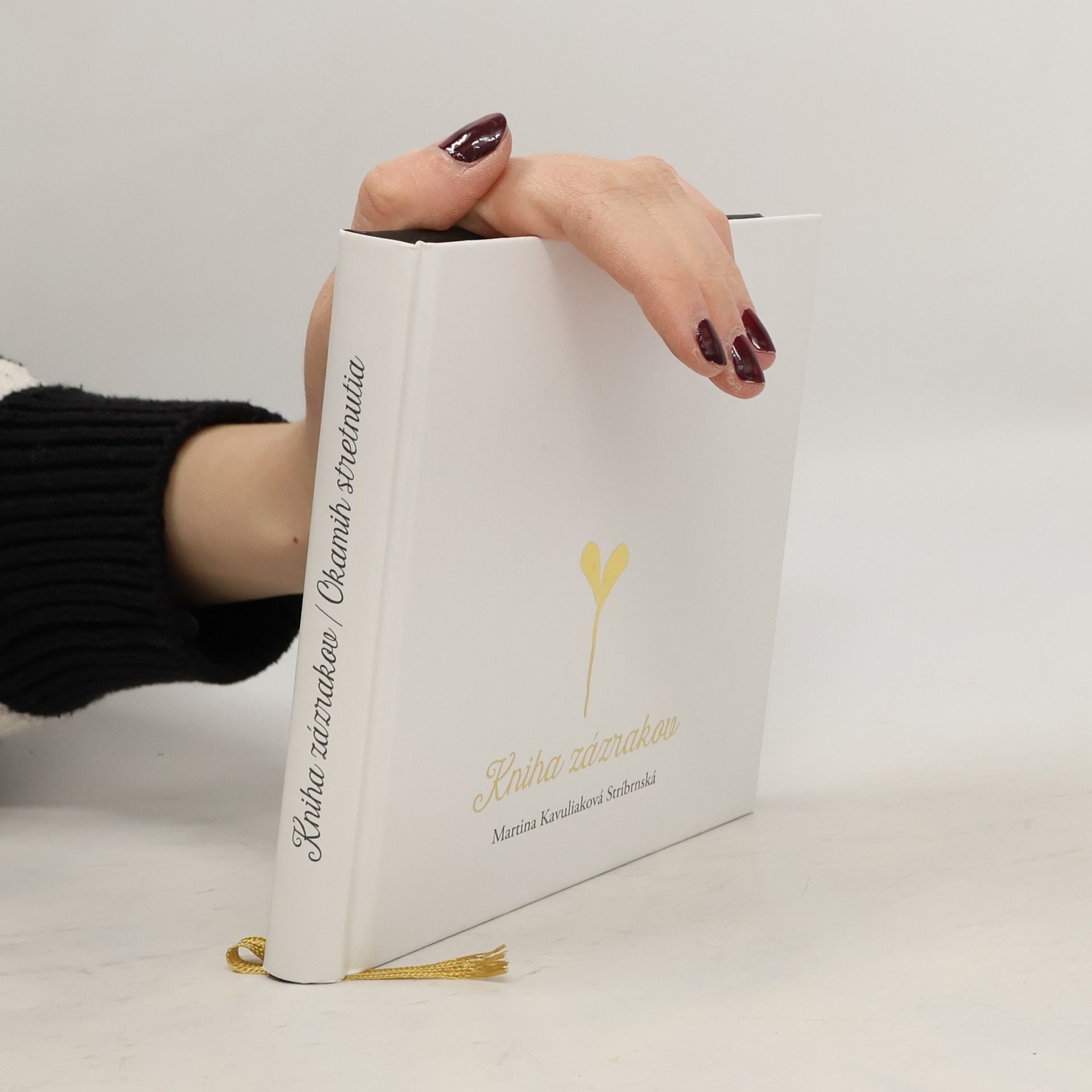 Kniha zázrakov / Okamih stretnutia