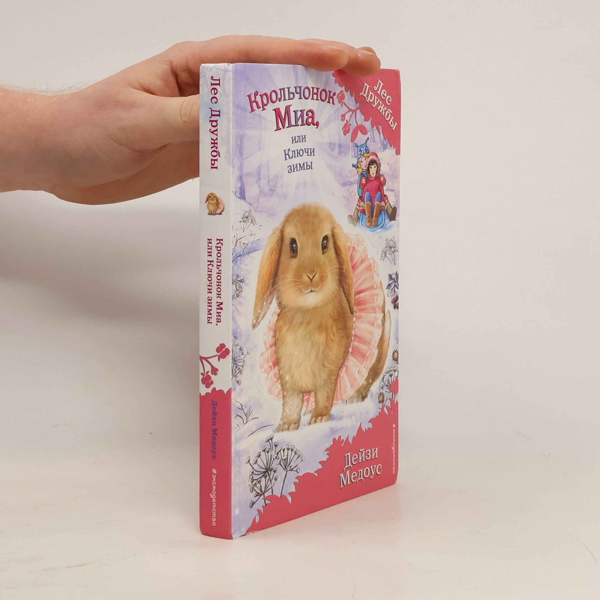 Daisy Meadows Крольчонок Миа, или Ключи зимы