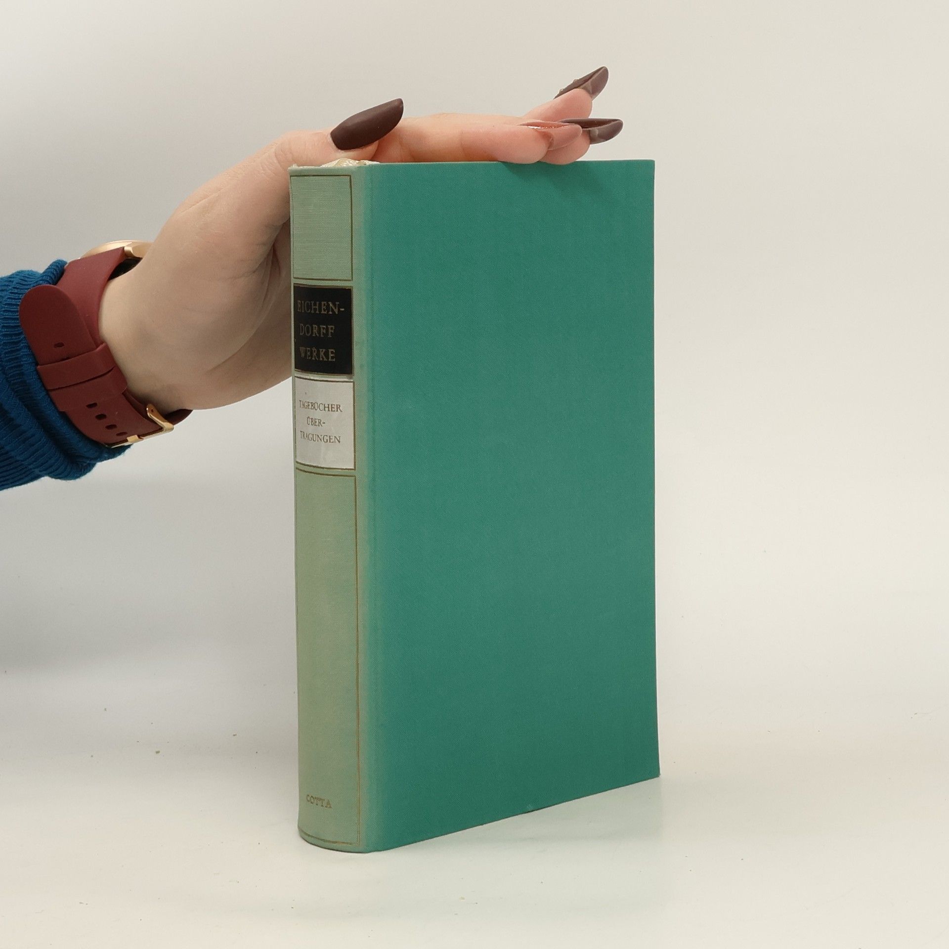 Joseph von Eichendorff Tagebücher, Übertragungen