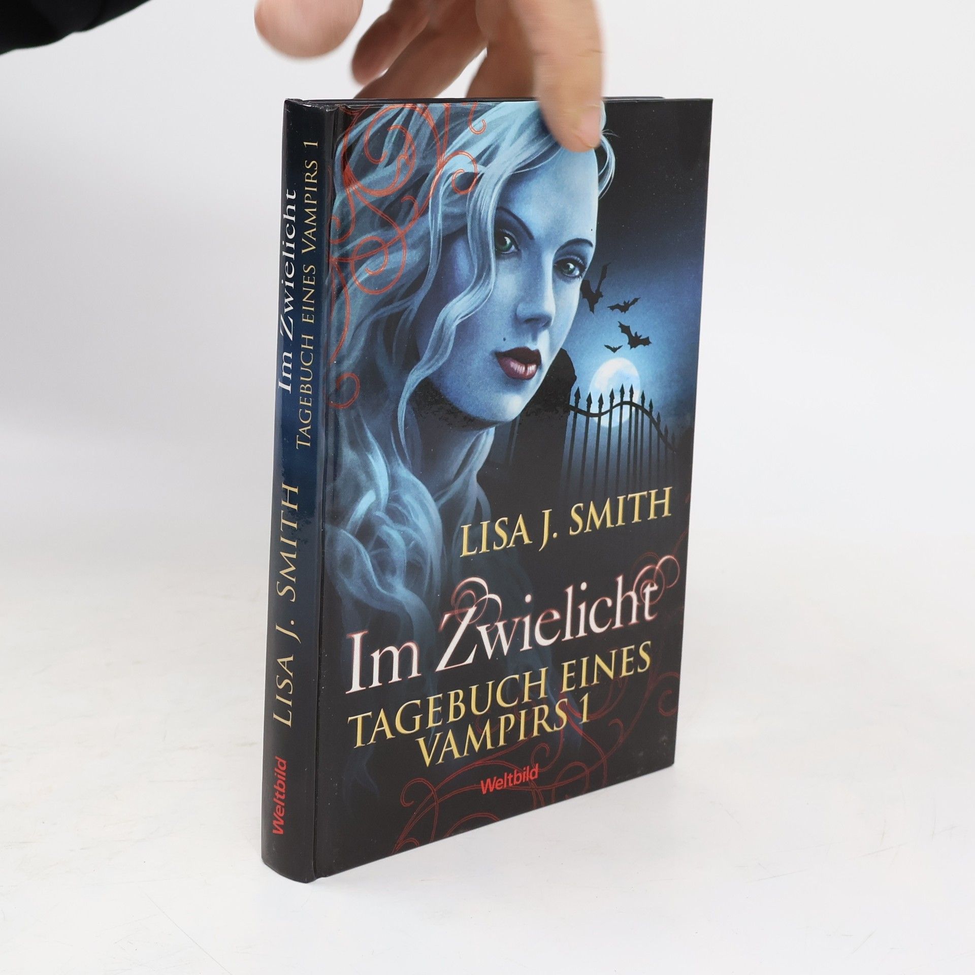 L. J. Smith Tagebuch eines Vampirs 1. Im Zwielicht