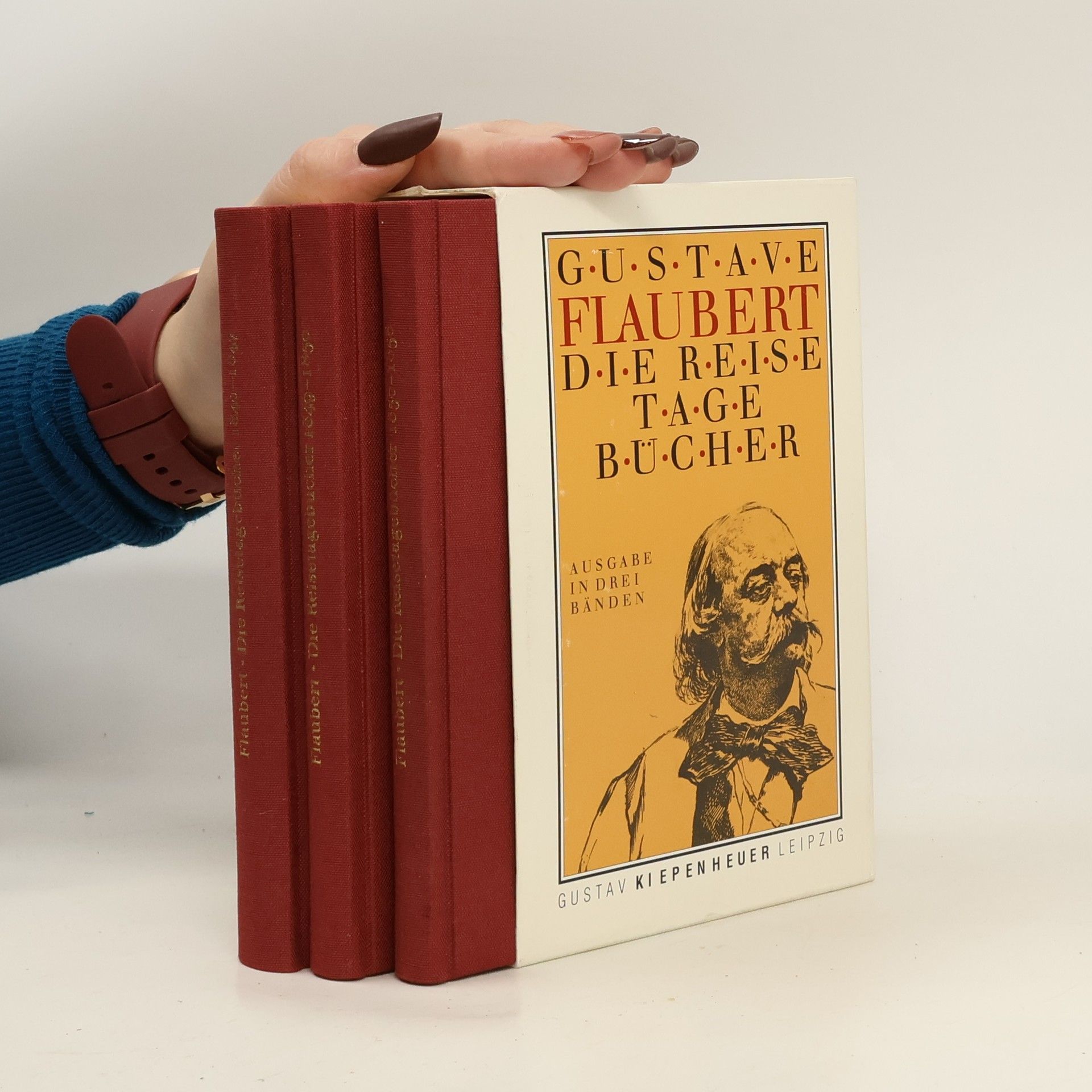 Gustave Flaubert Die Reisetagebücher 1-3