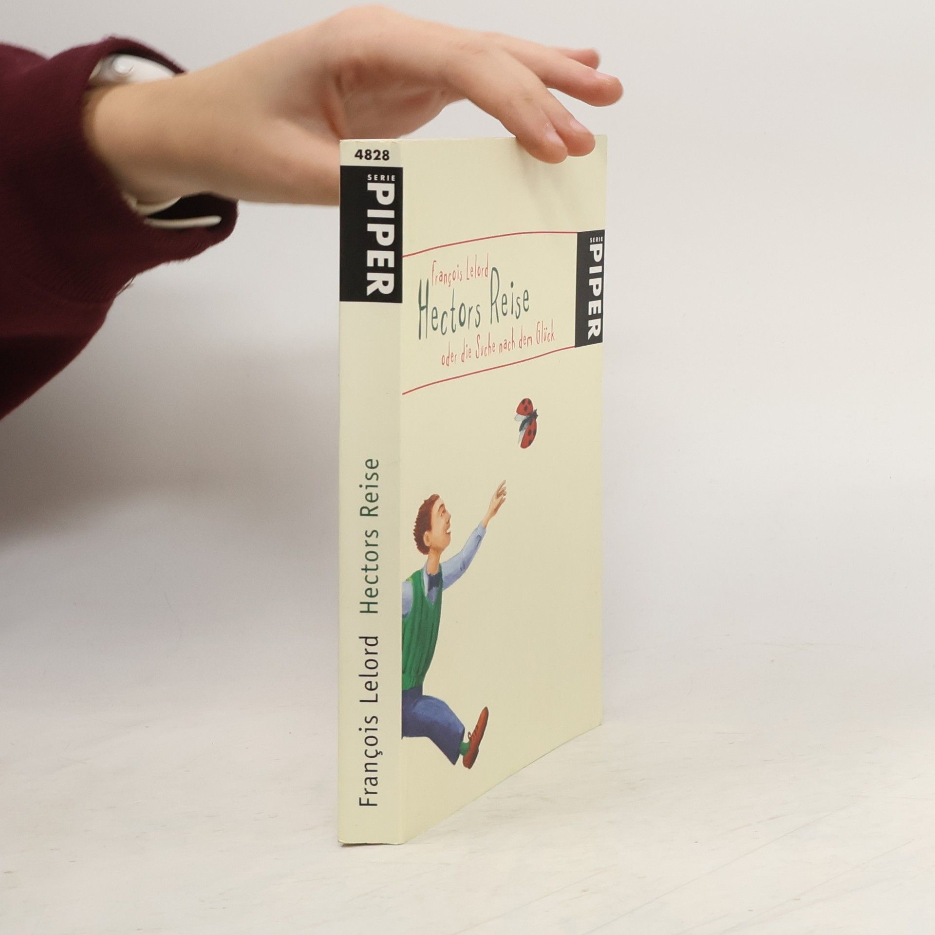 François Lelord Hectors Reise