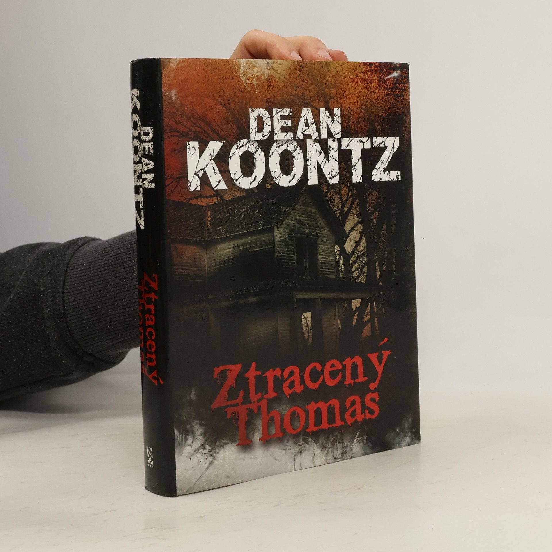 Dean R. Koontz Ztracený Thomas