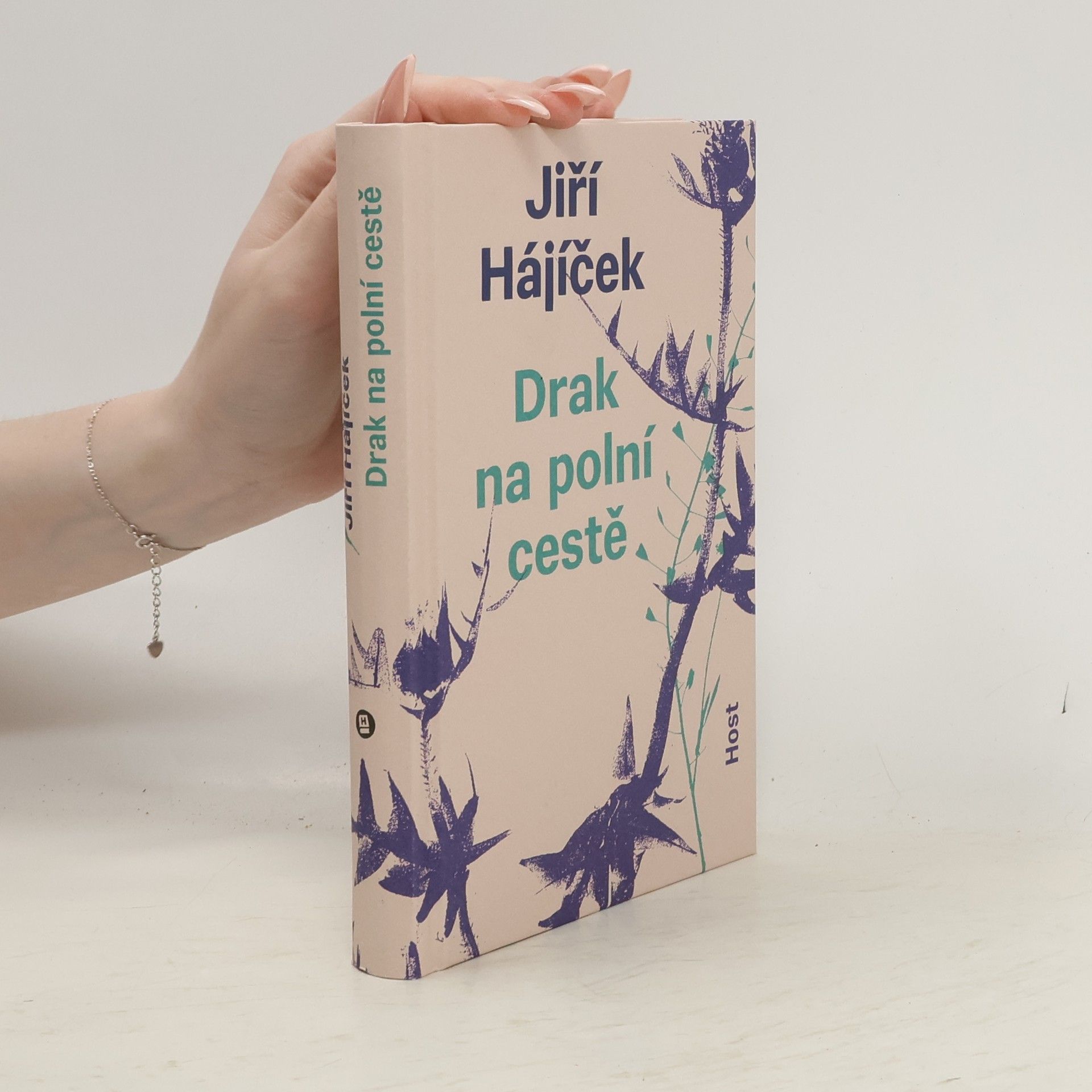 Drak na polní cestě