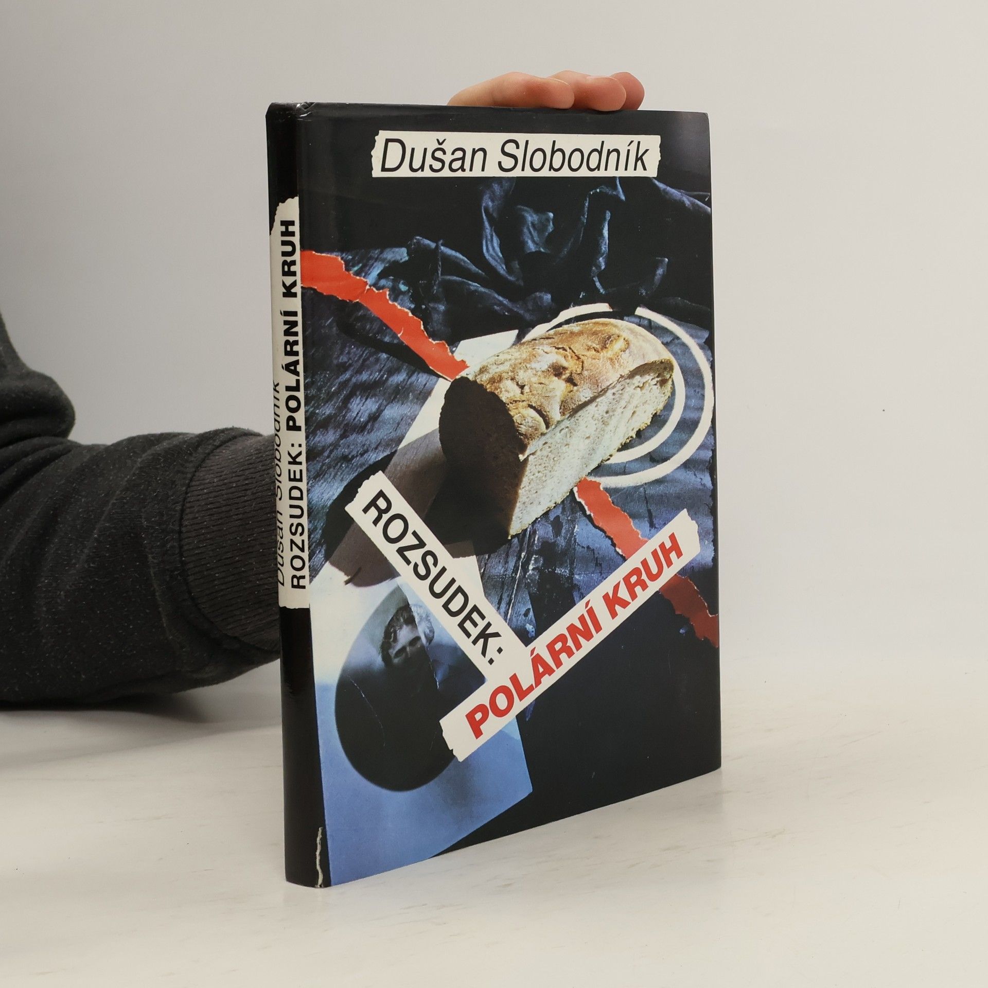 Rozsudek: Polární kruh