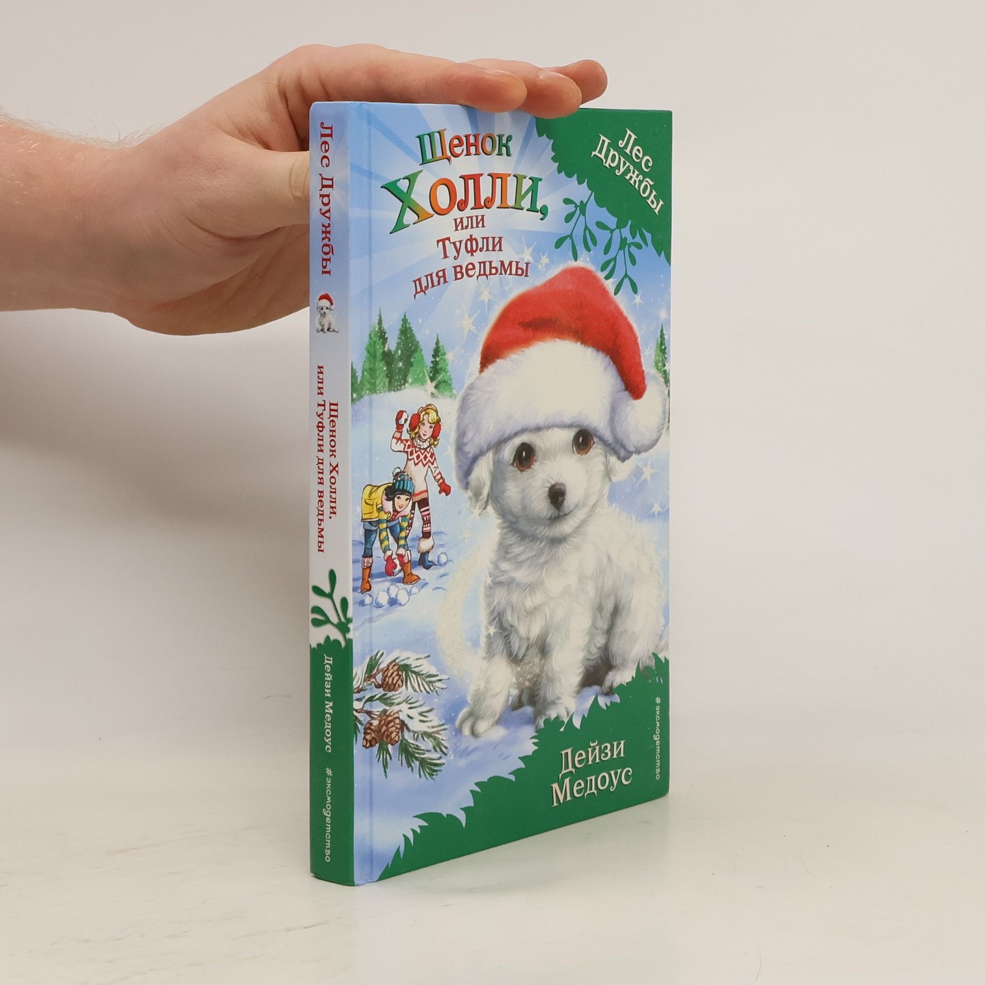 Daisy Meadows Лес Дружбы: Щенок Холли, или Туфли для ведьмы