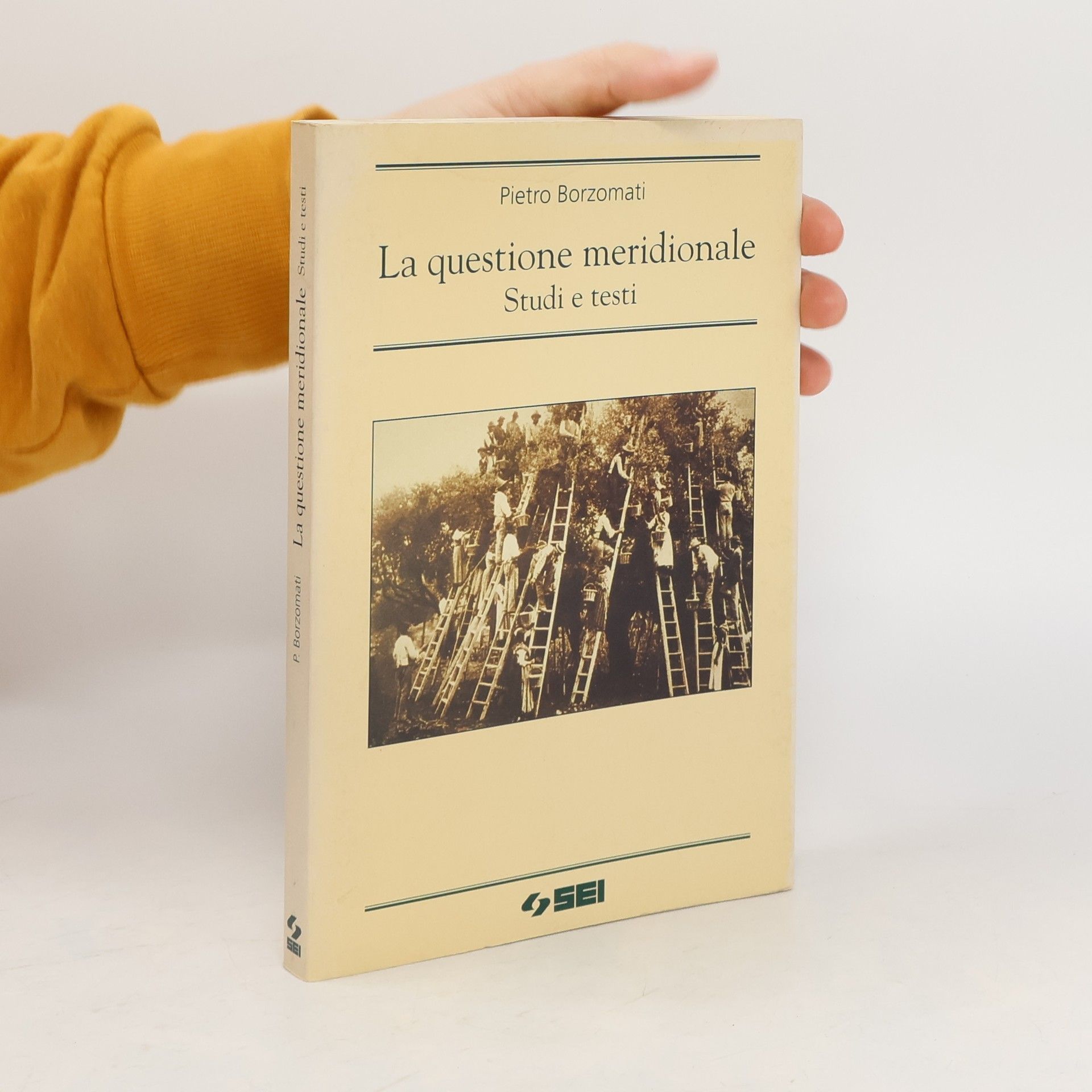 Pietro Borzomati La questione meridionale