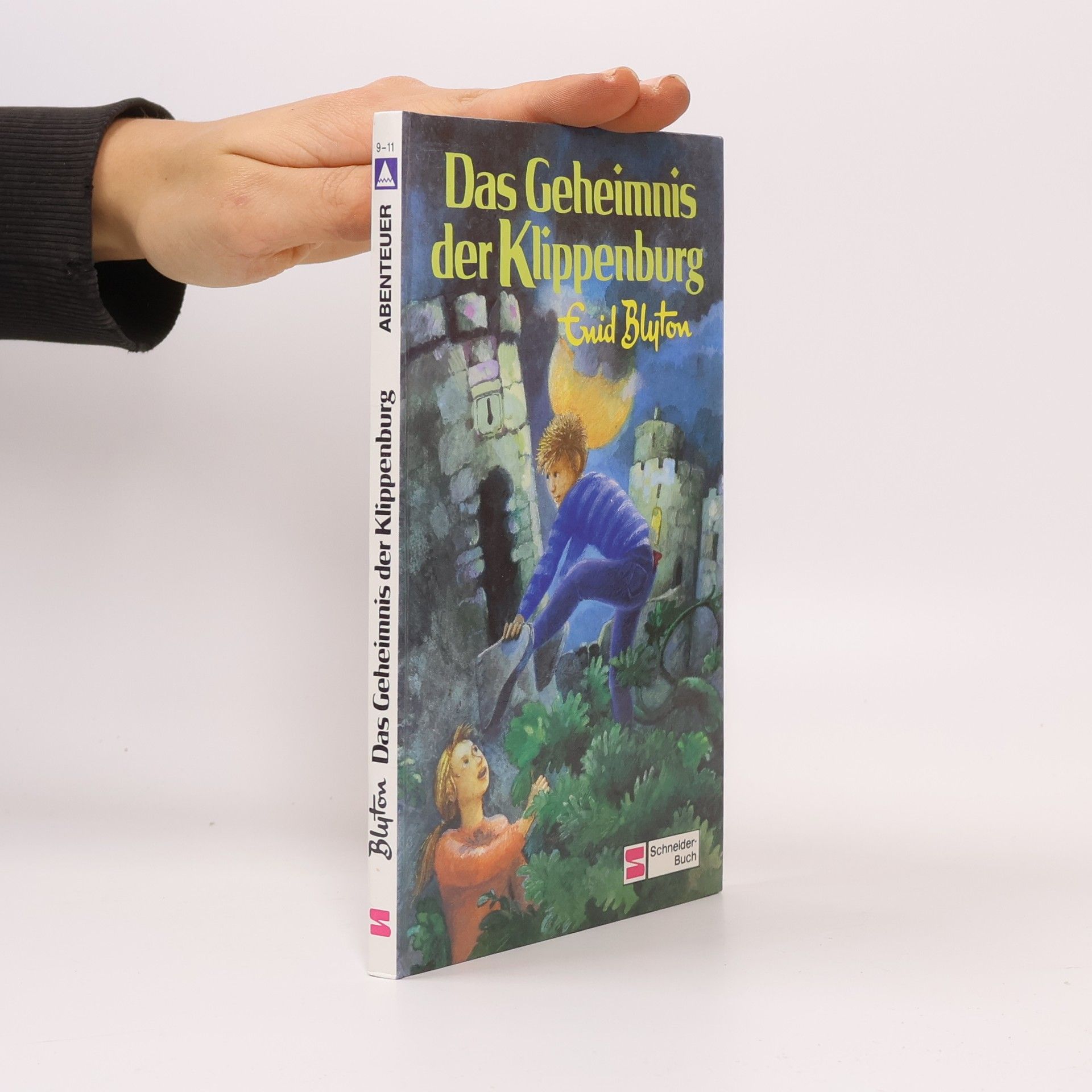 Enid Blyton Das Geheimnis der Klippenburg