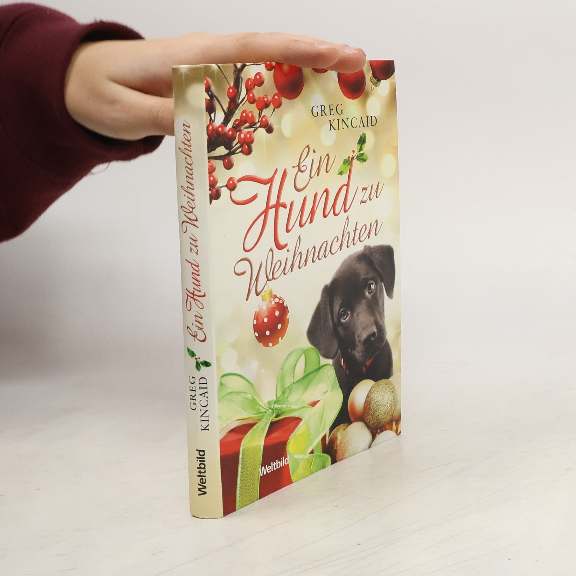 Ein Hund zu Weihnachten