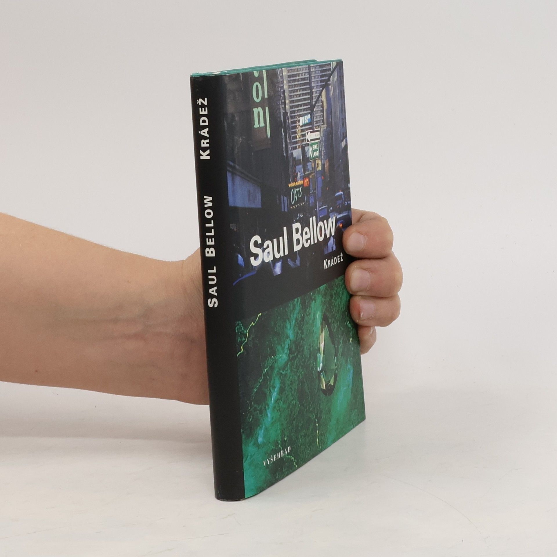 Saul Bellow Krádež