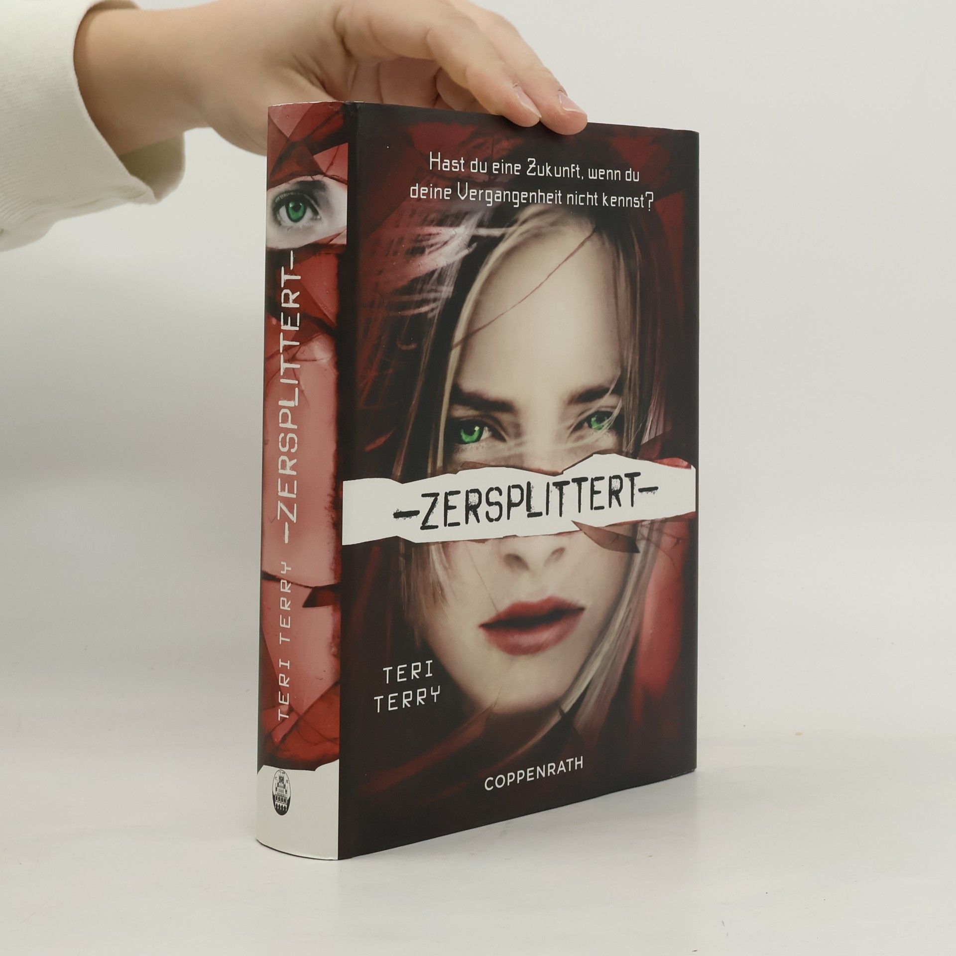 Teri Terry Zersplittert