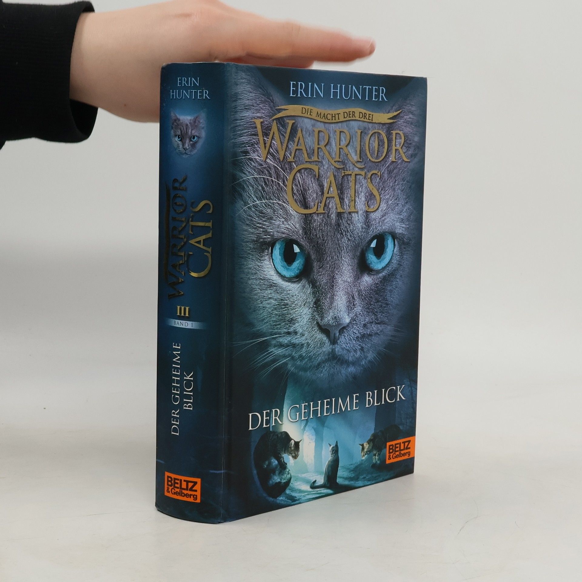 Erin Hunter Warrior Cats: Der geheime Blick