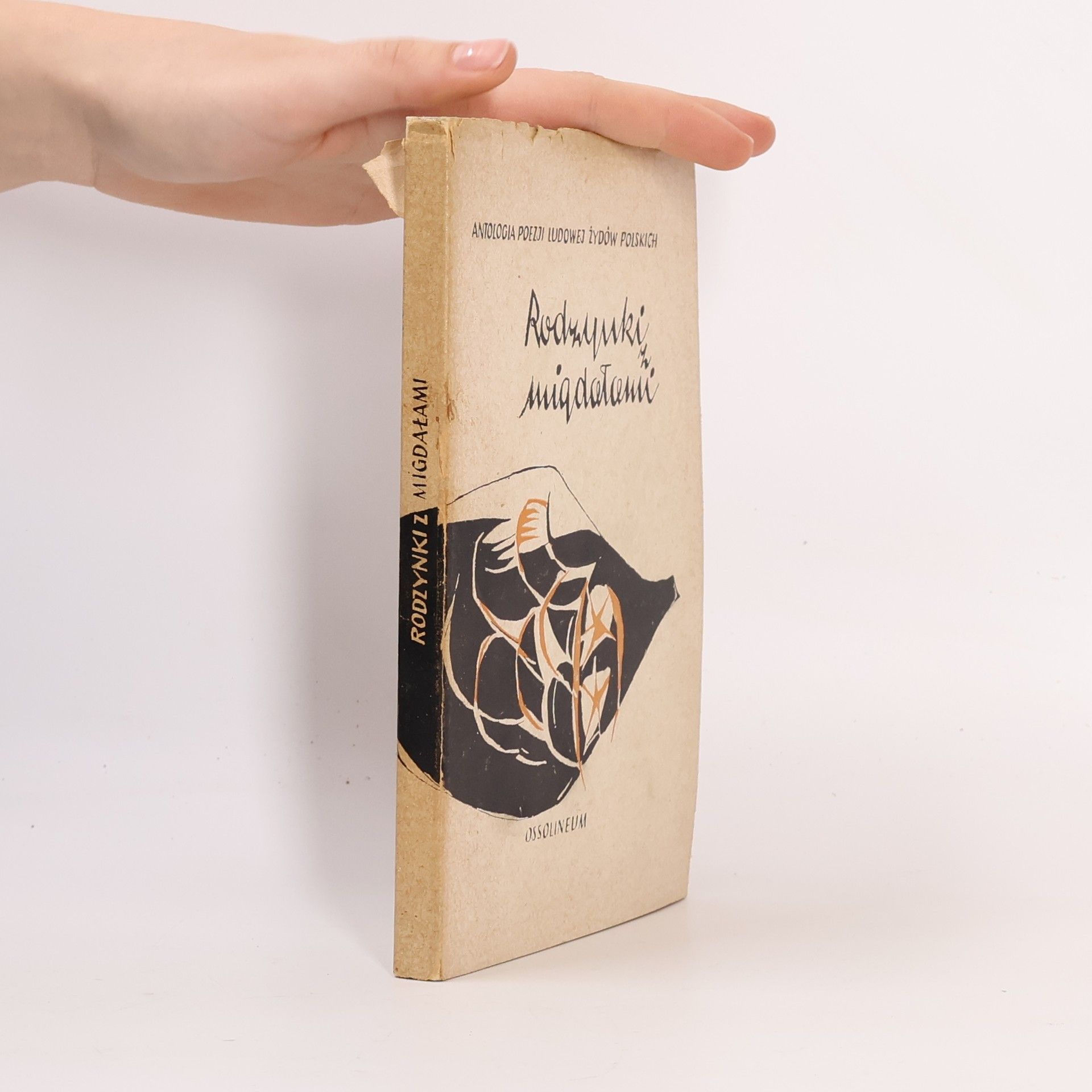 Autores varios Antologia ludowej poezji Żydów polskich: Rodzynki z migdałami