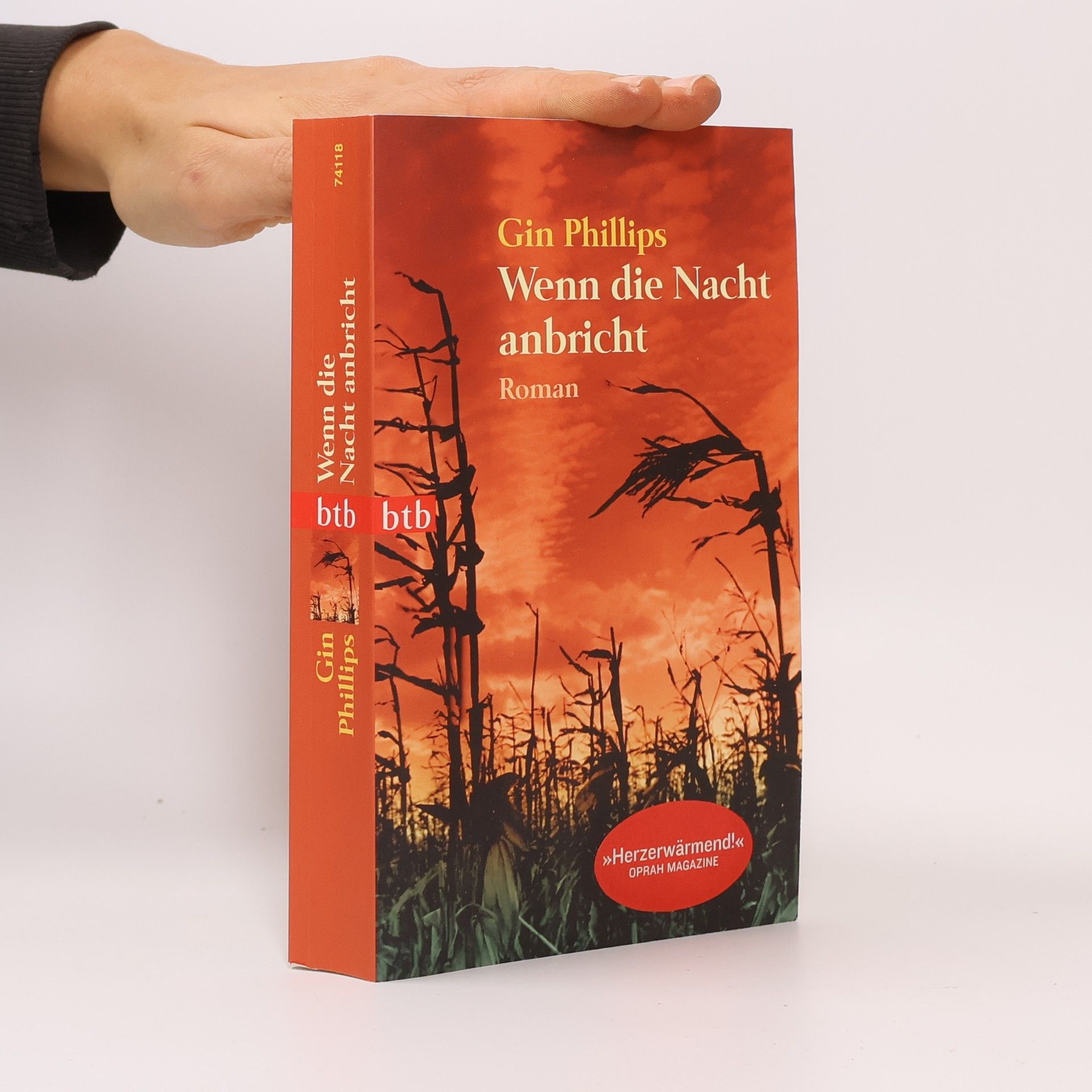 Gin Phillips Wenn die Nacht anbricht