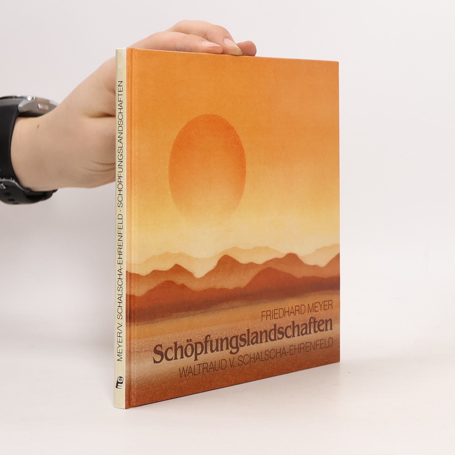 Friedhard Meyer Schöpfungslandschaften