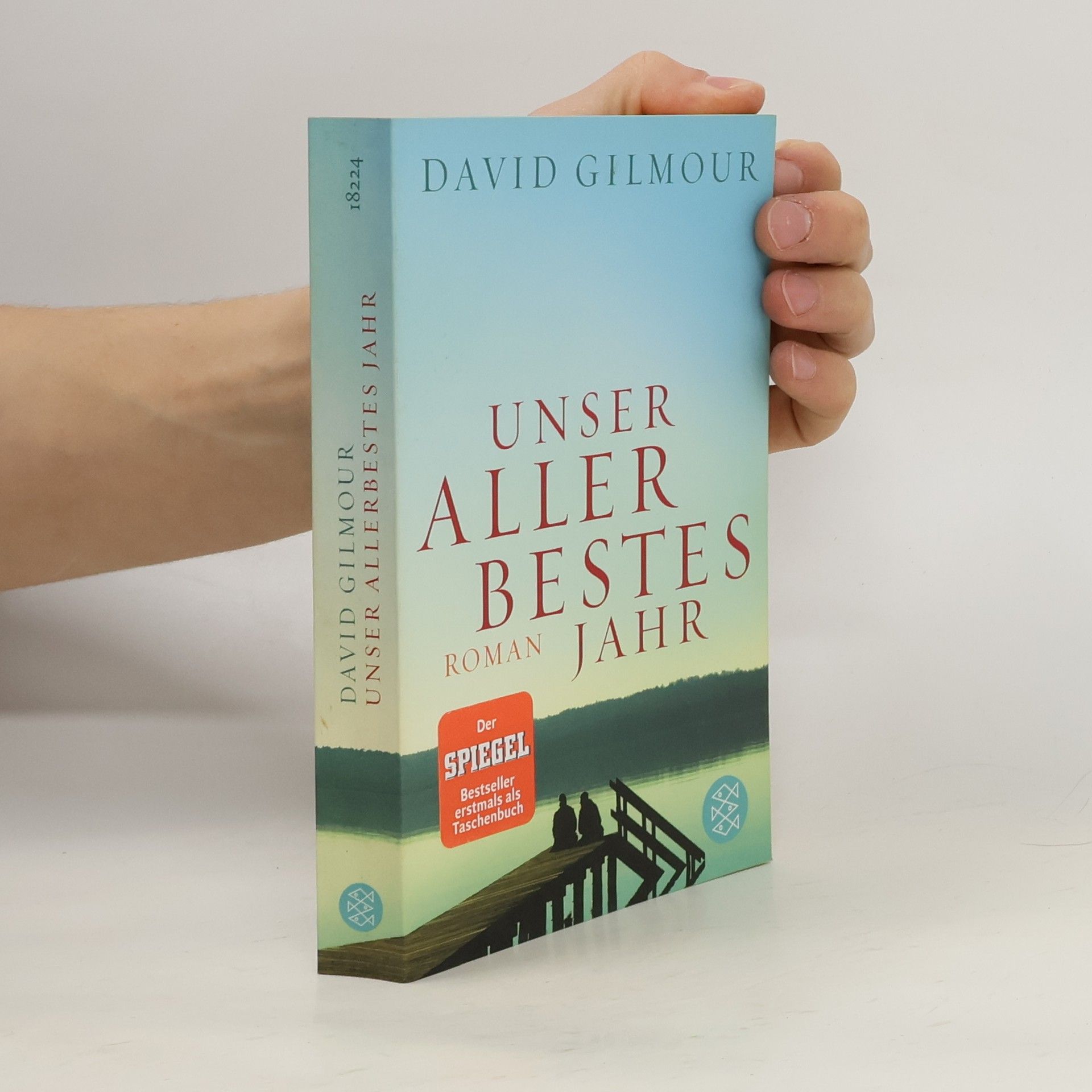 David Gilmour Unser allerbestes Jahr