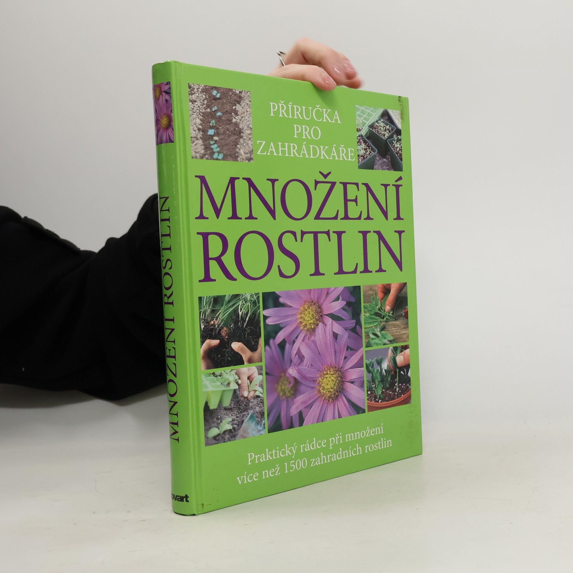 Množení rostlin