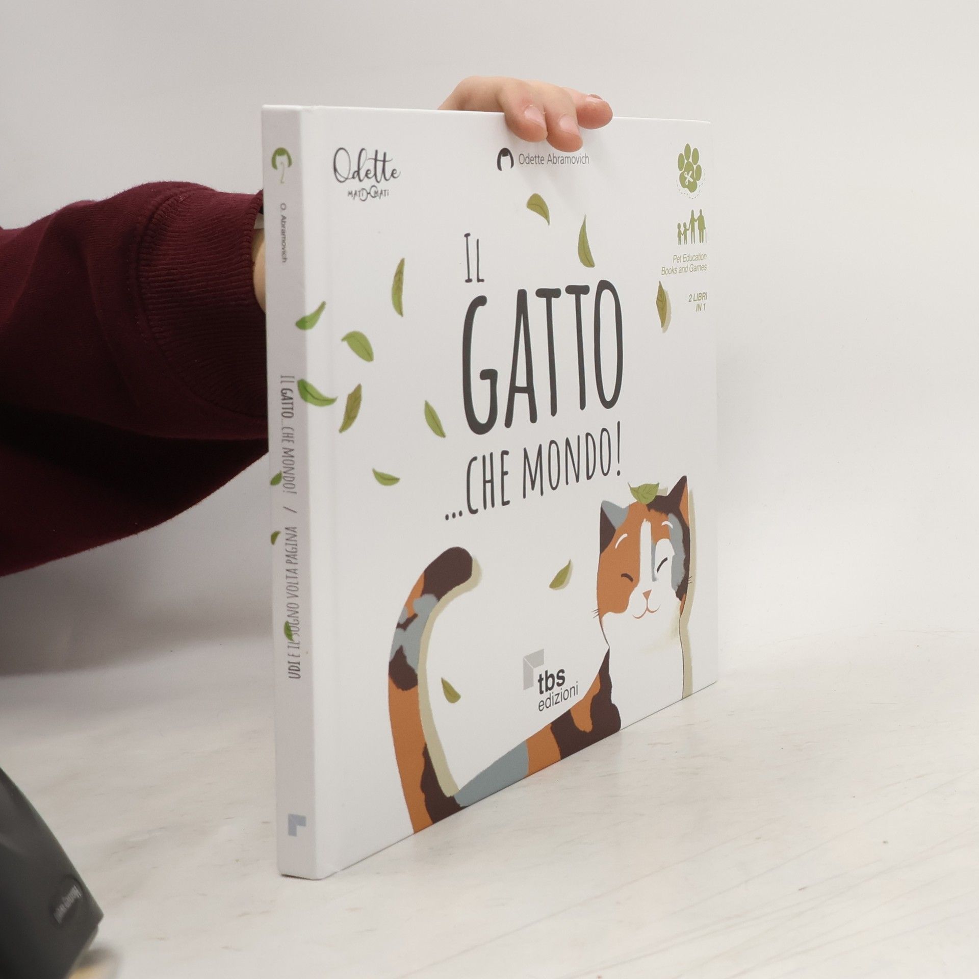 Odette Abramovich Il gatto... che mondo! - Udi e il sogno volta pagina. Ediz. a colori