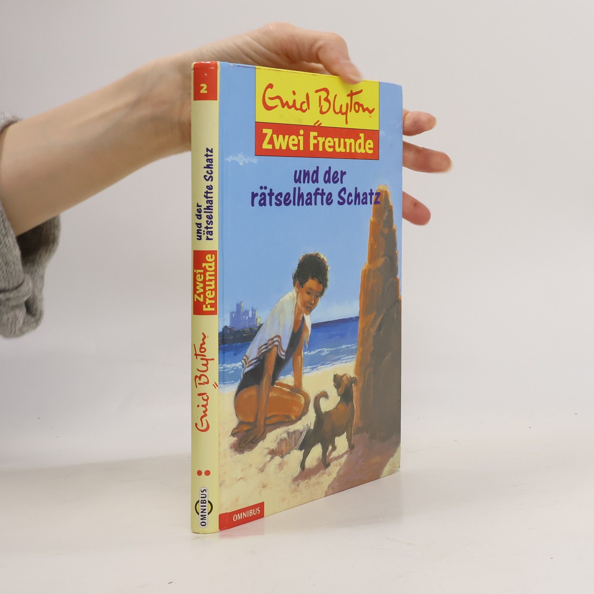 Enid Blyton Zwei Freunde und der rätselhafte Schatz.