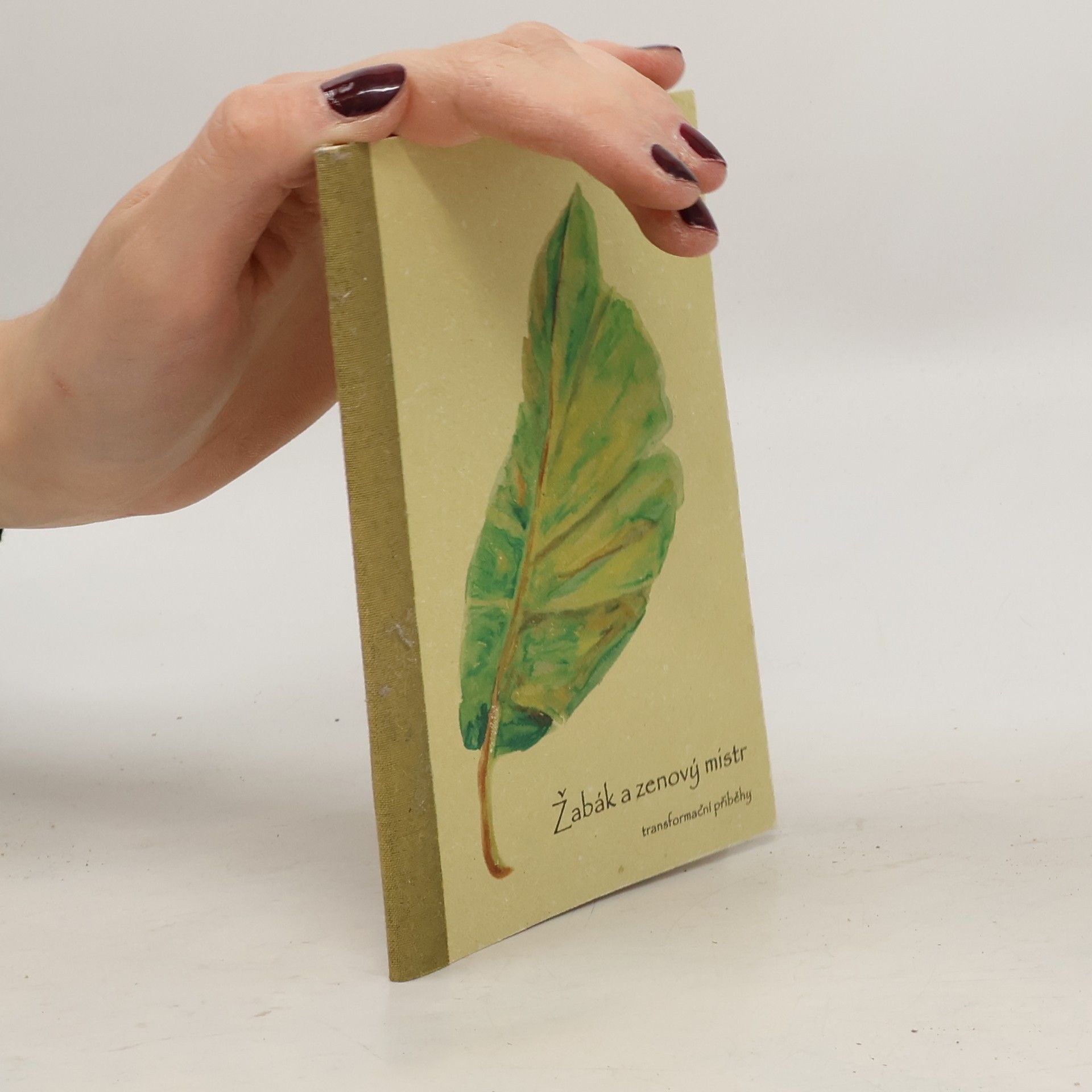 Petr Kubala Žabák a zenový mistr