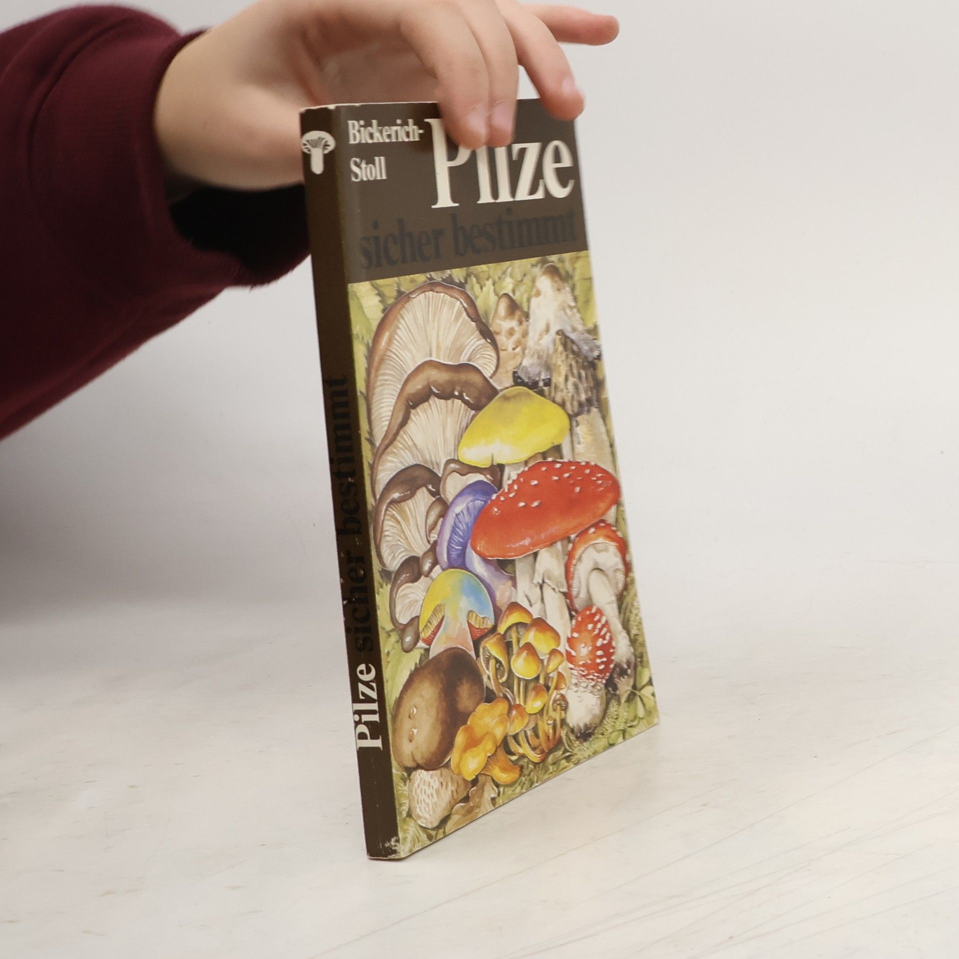 Katharina Bickerich Stoll Pilze sicher bestimmt