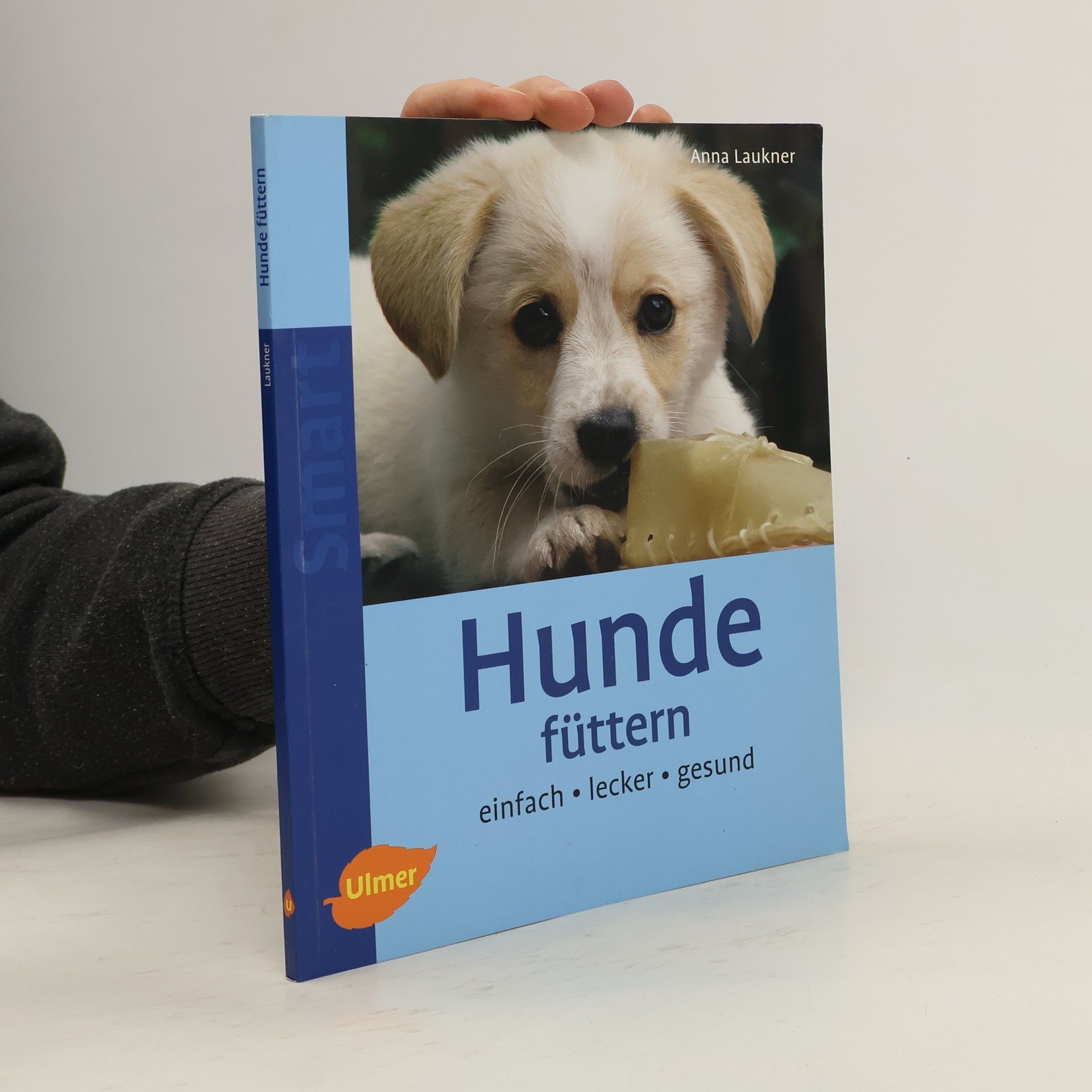 Anna Laukner Hunde füttern