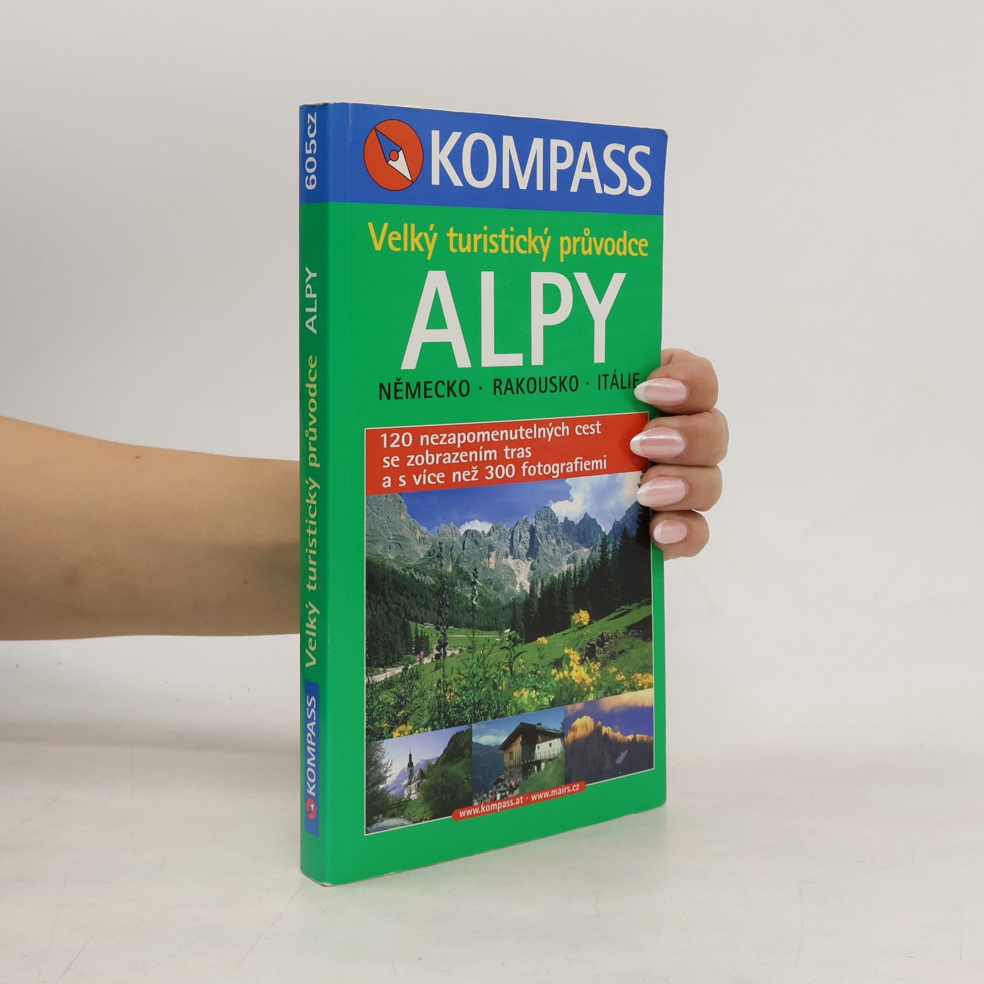Kolektiv autorů Alpy. Velký turistický průvodce. Německo. Rakousko. Itálie
