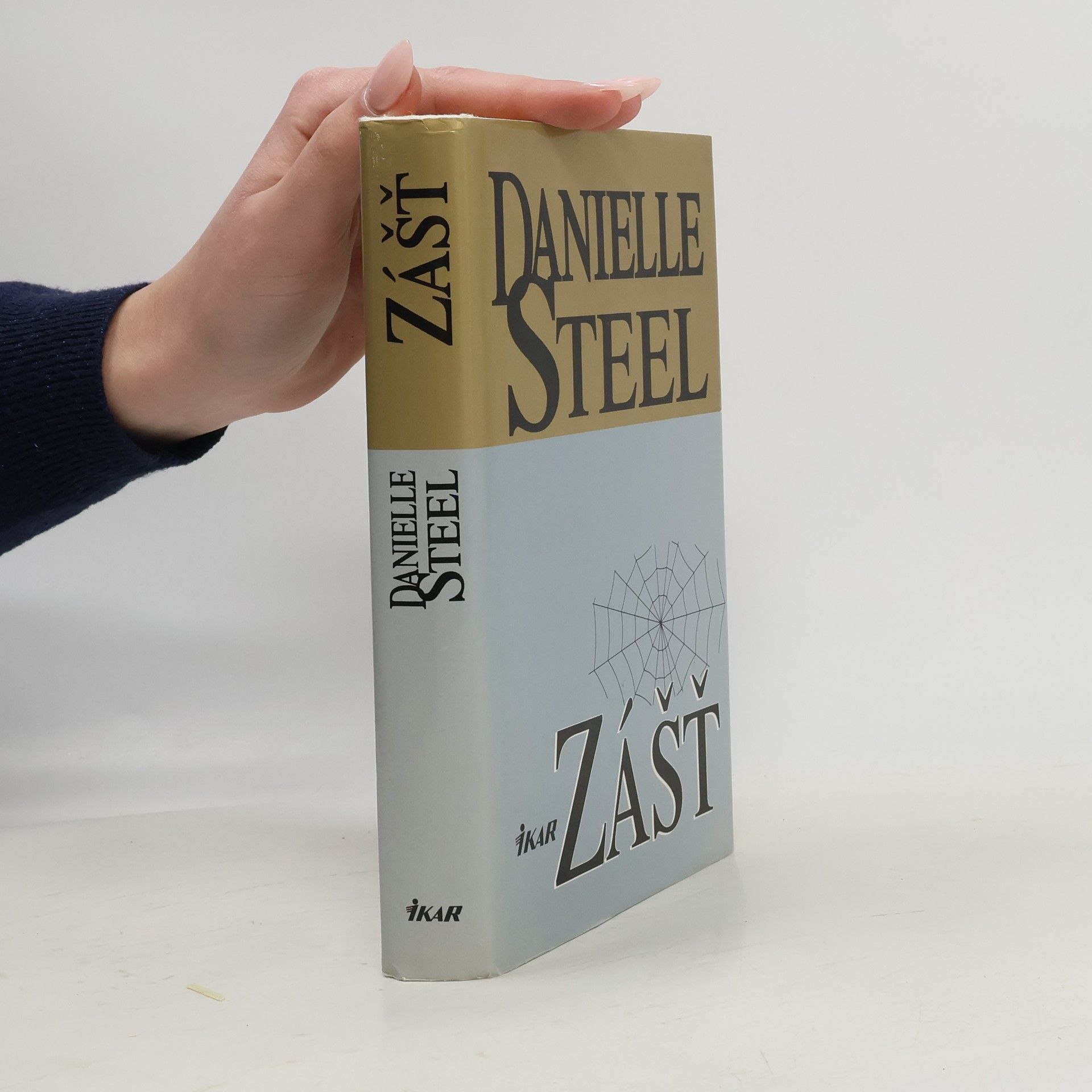 Danielle Steel Zášť