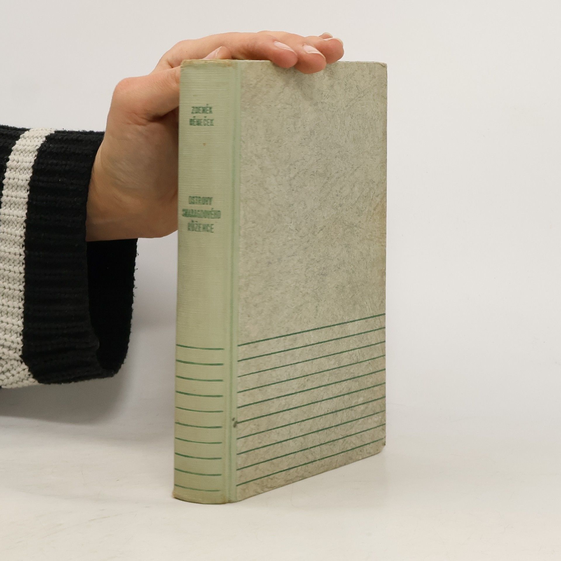 Zdeněk Němeček Ostrovy smaragdového růžence: západoindický deník