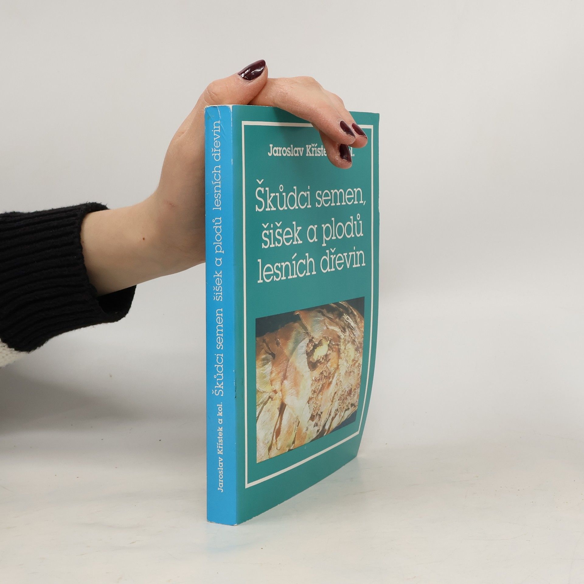 Škůdci semen, šišek a plodů lesních dřevin