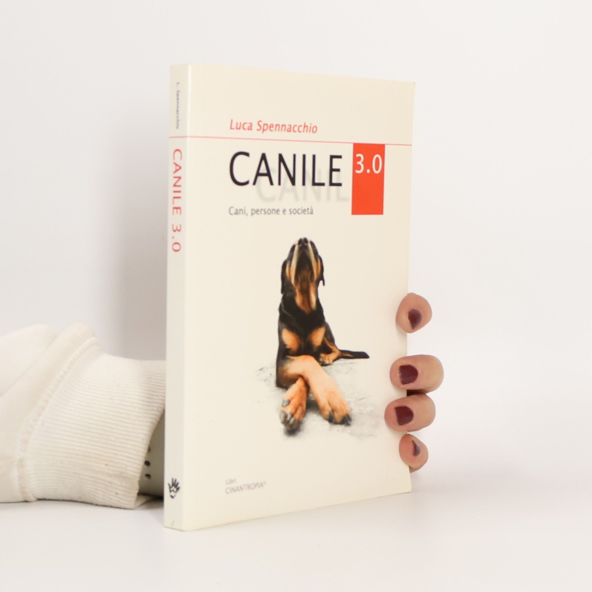 Luca Spennacchio Canile 3.0