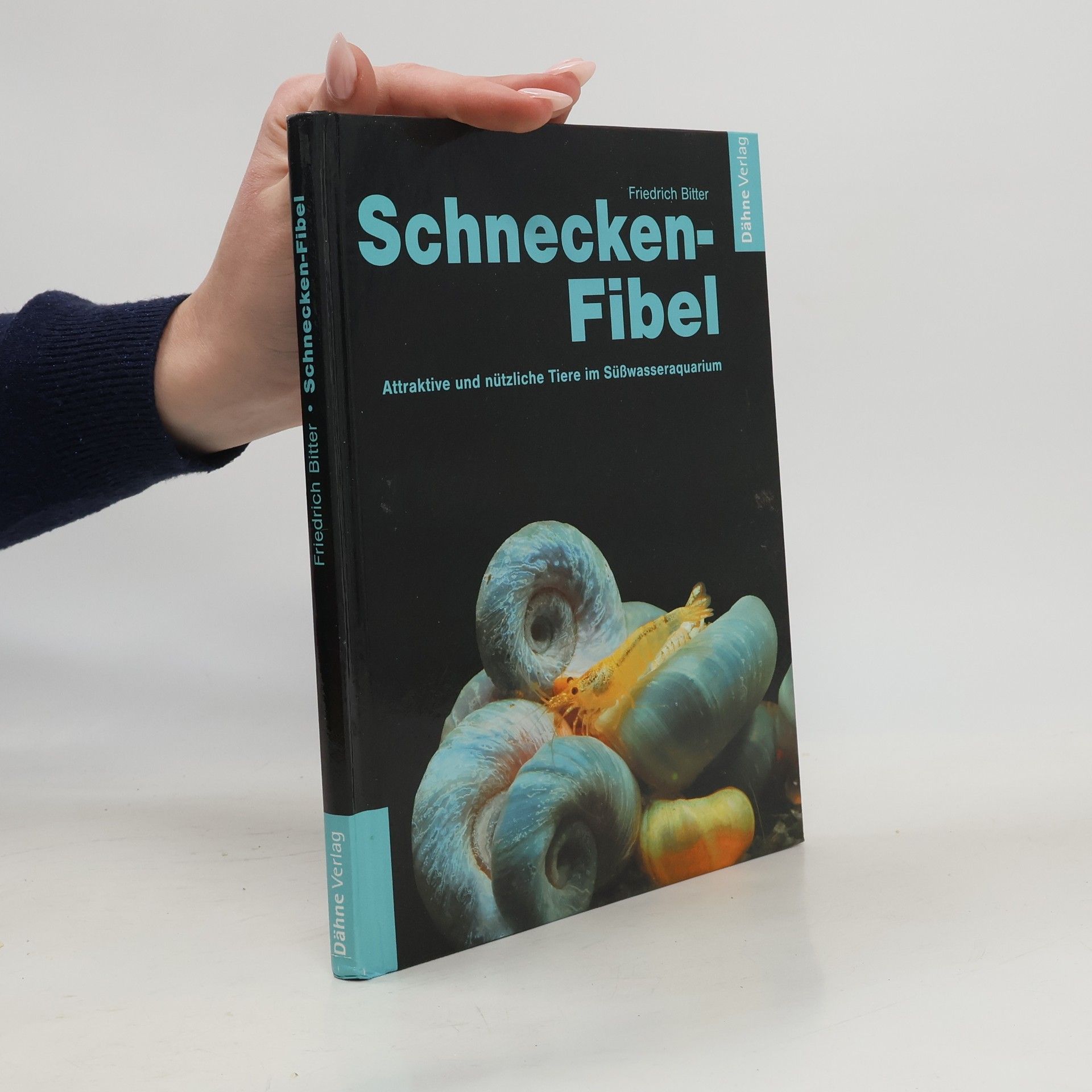Schnecken-Fibel